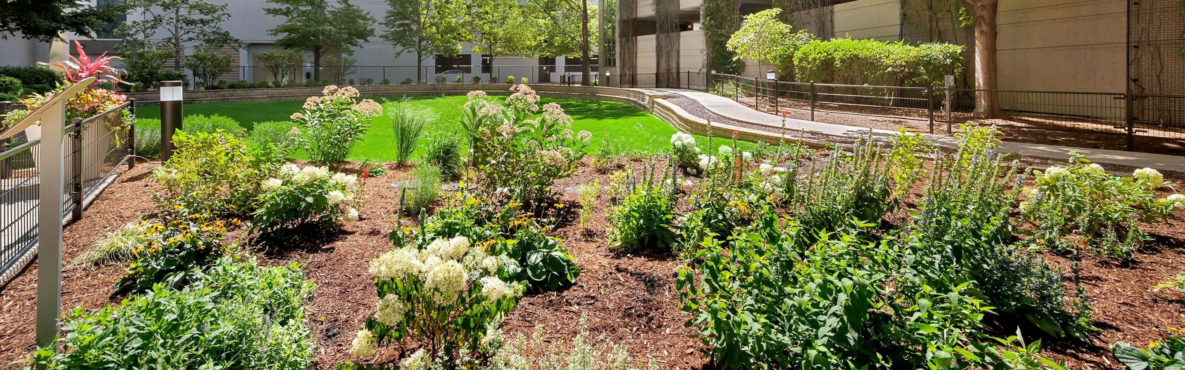 Resident garden and pollinator habitat of AMLI 900 apartment building surrounded by garage and building