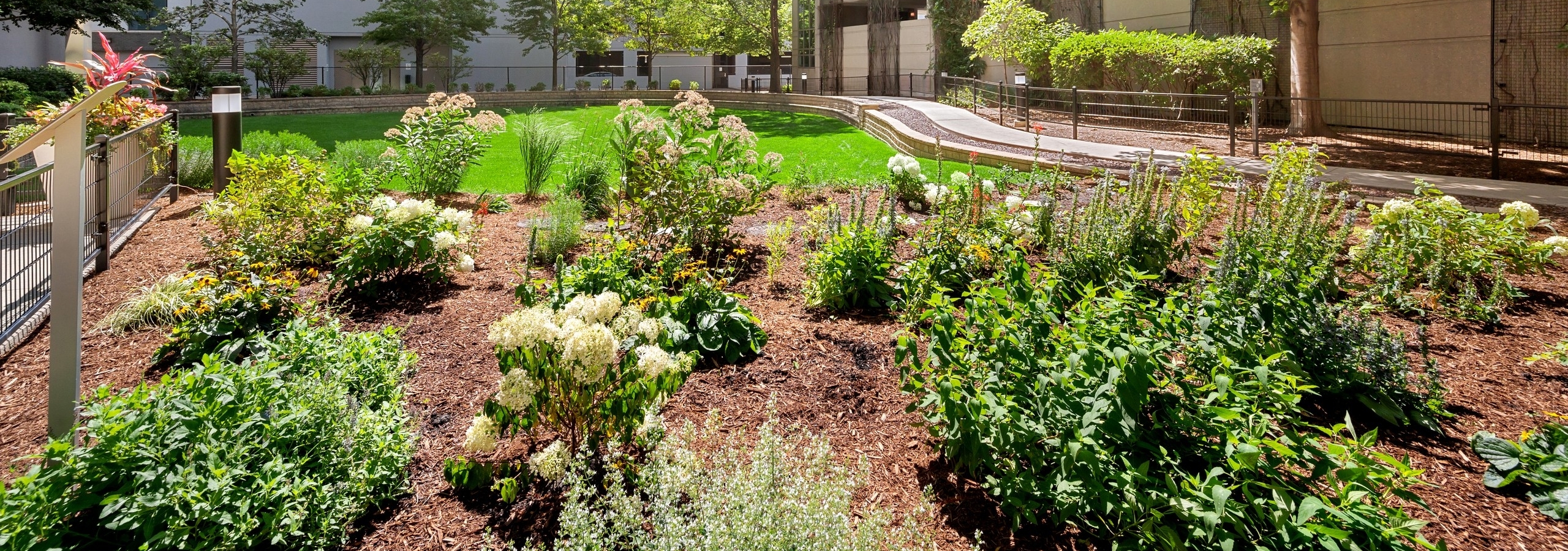 Resident garden and pollinator habitat of AMLI 900 apartment building surrounded by garage and building