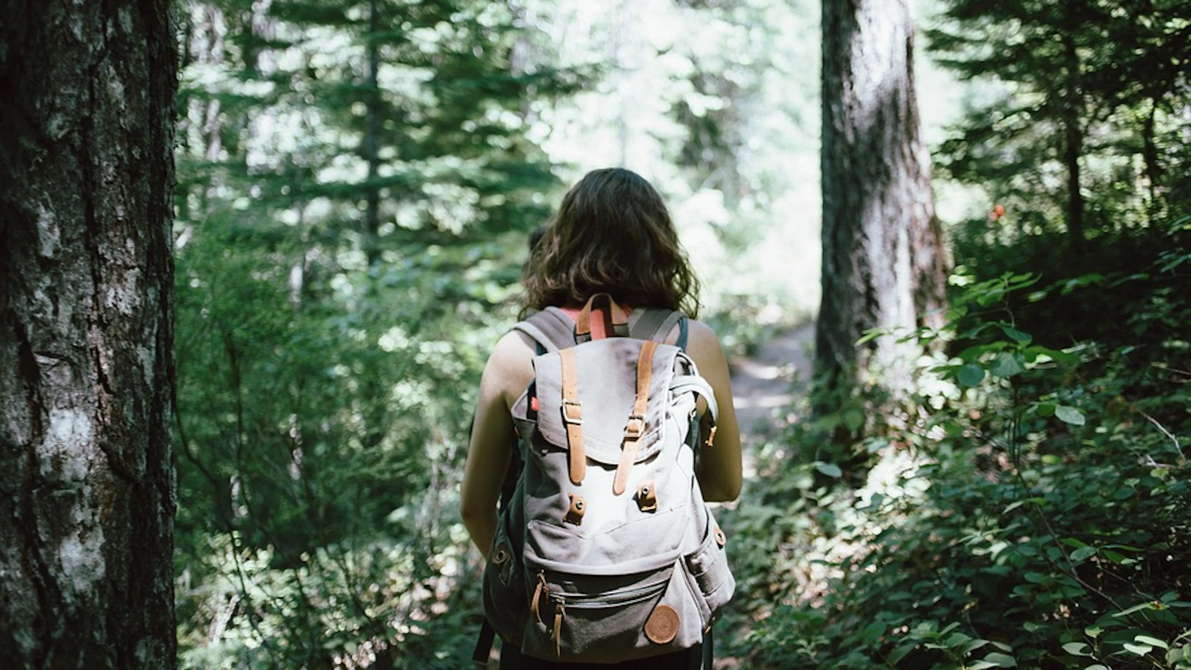 A woman walking into a shaded forest with a canvas backpack