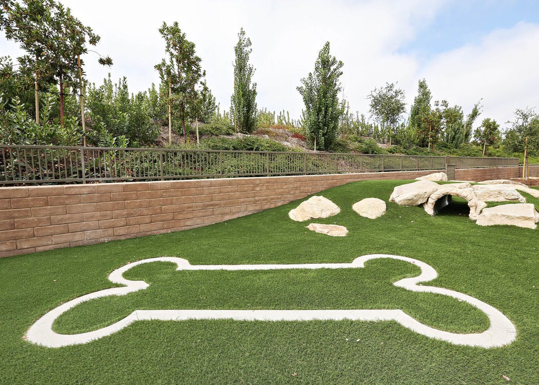 Exterior daytime close-up of pet park at AMLI Spanish Hills apartment with bark log tunnel and bone-shaped design on turf
