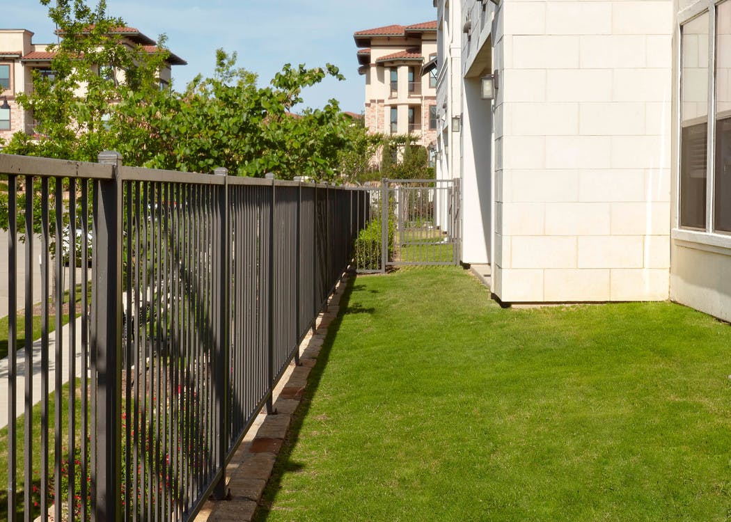 Exterior daytime view of fenced yard at AMLI on Riverside with a view of vibrant trees and white building facade peeking in