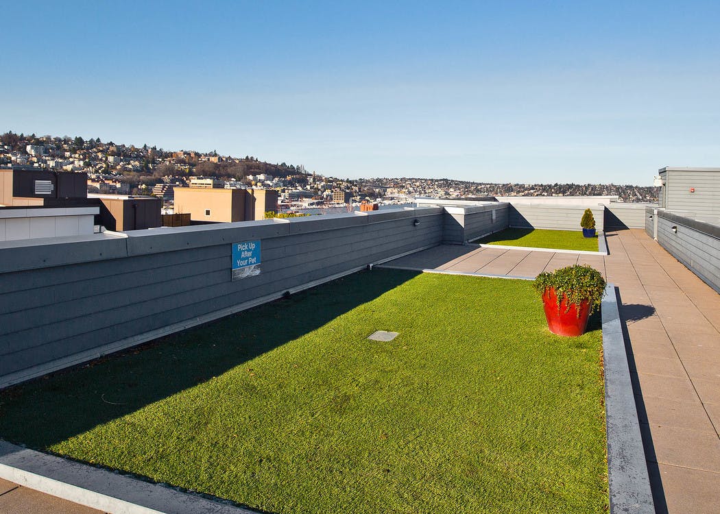 Daytime view of AMLI 535 per-friendly community rooftop deck with pet run and views of South Lake Union
