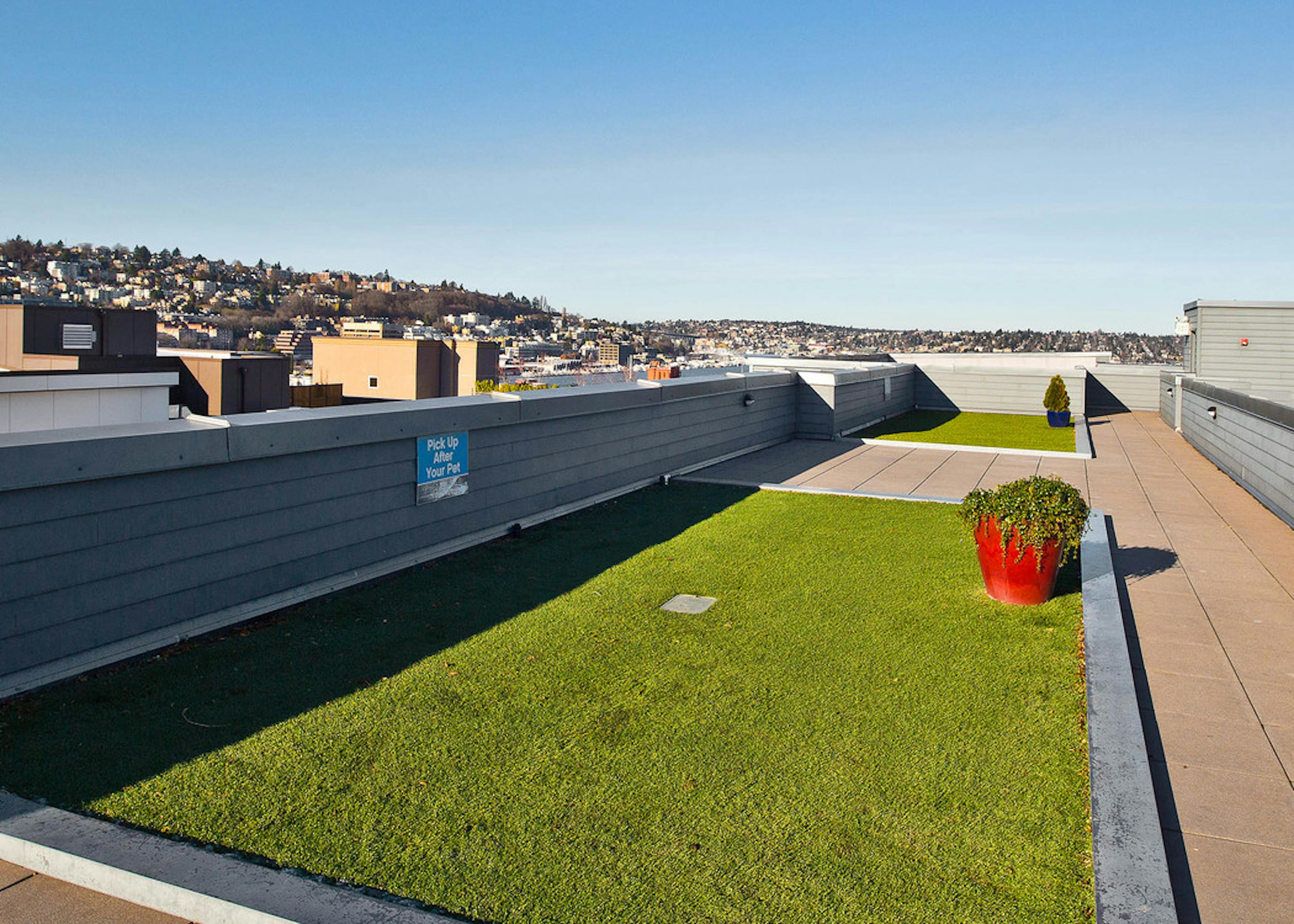 Daytime view of AMLI 535 per-friendly community rooftop deck with pet run and views of South Lake Union