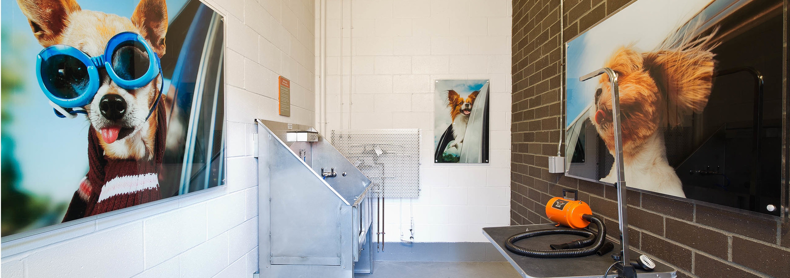 Interior of the Pet Wash at AMLI South Lake Union with a tub shower dryer lockers and fun dog art on the walls