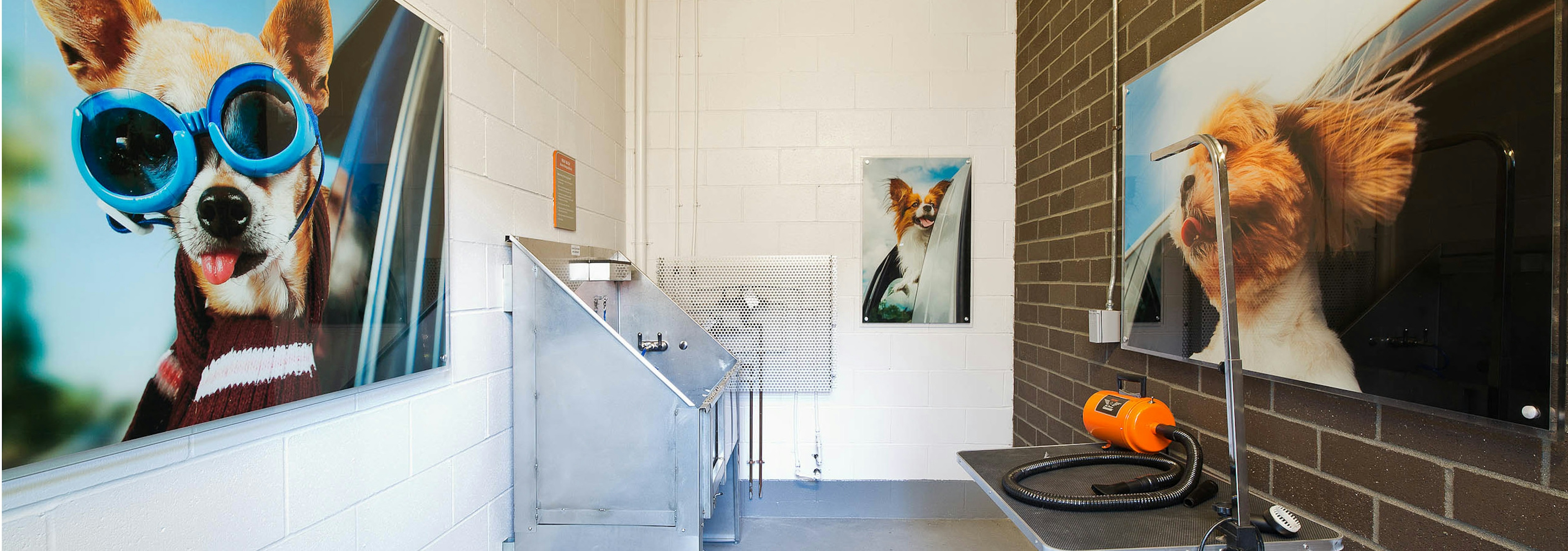 Interior of the Pet Wash at AMLI South Lake Union with a tub shower dryer lockers and fun dog art on the walls 