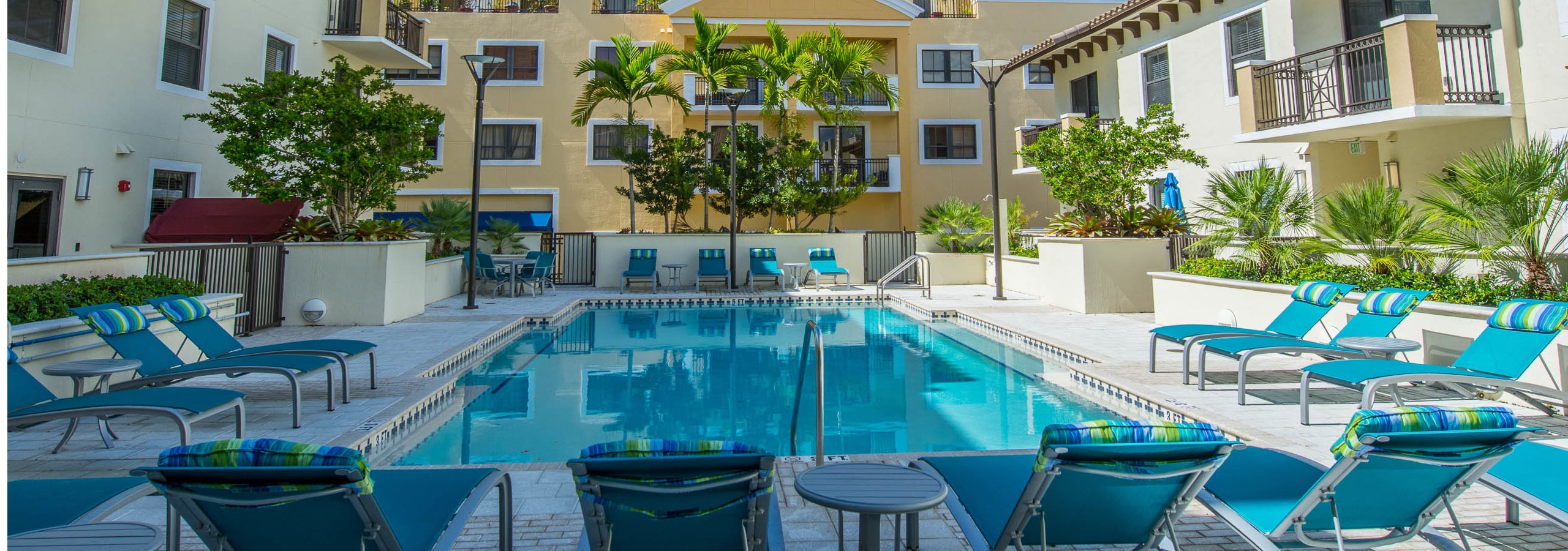 One of two swimming pools at AMLI Dadeland surrounded by lush palm trees, blue deck chairs and can be seen from the patios