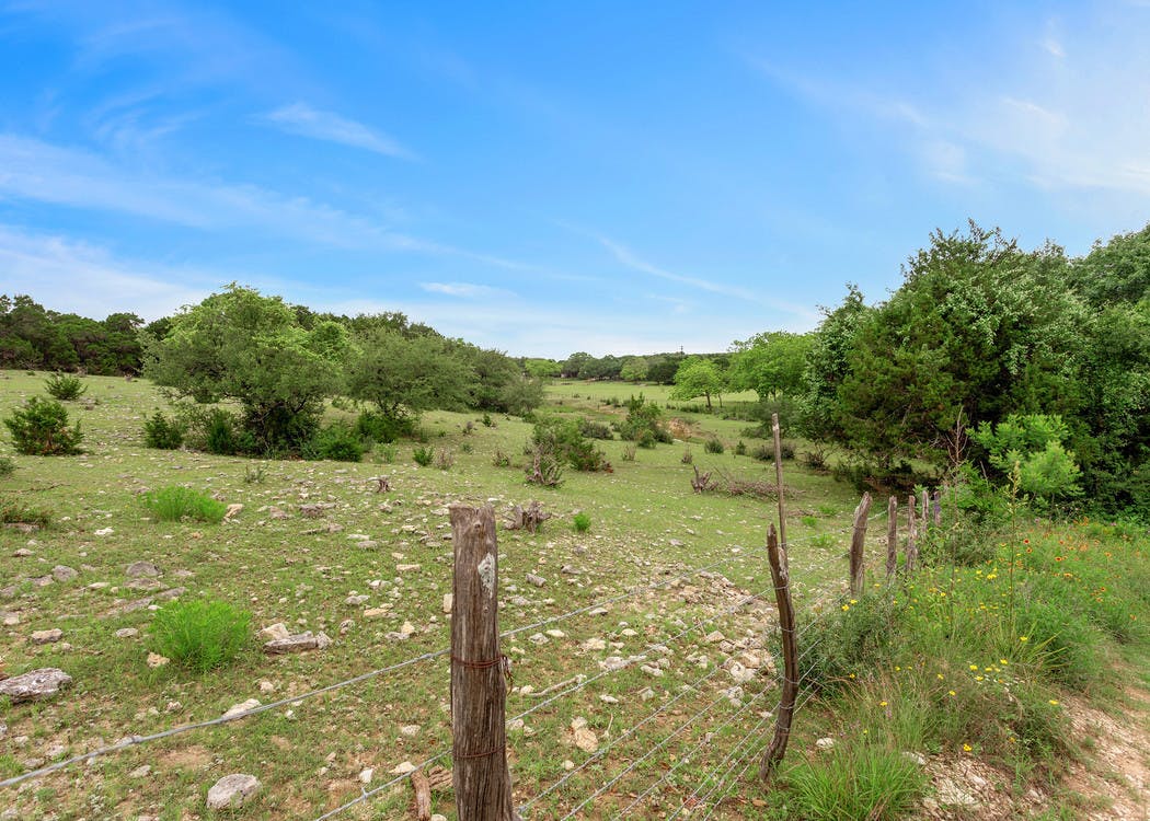 Daytime view from AMLI Covered Bridge of Austin Hill Country will lush green grass, shrubbery and mature trees