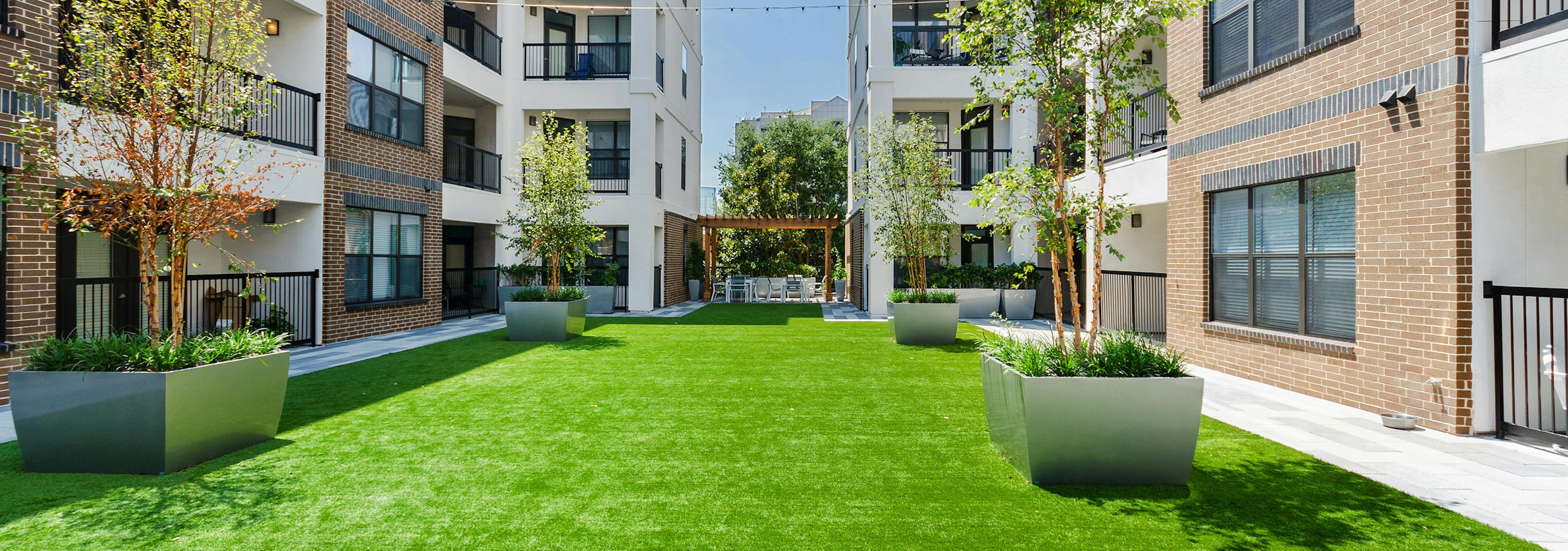 Grassy courtyard pet park at AMLI Quadrangle with trees in metal planters and a wooden shaded pergola in the distance