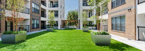 Grassy courtyard pet park at AMLI Quadrangle with trees in metal planters and a wooden shaded pergola in the distance