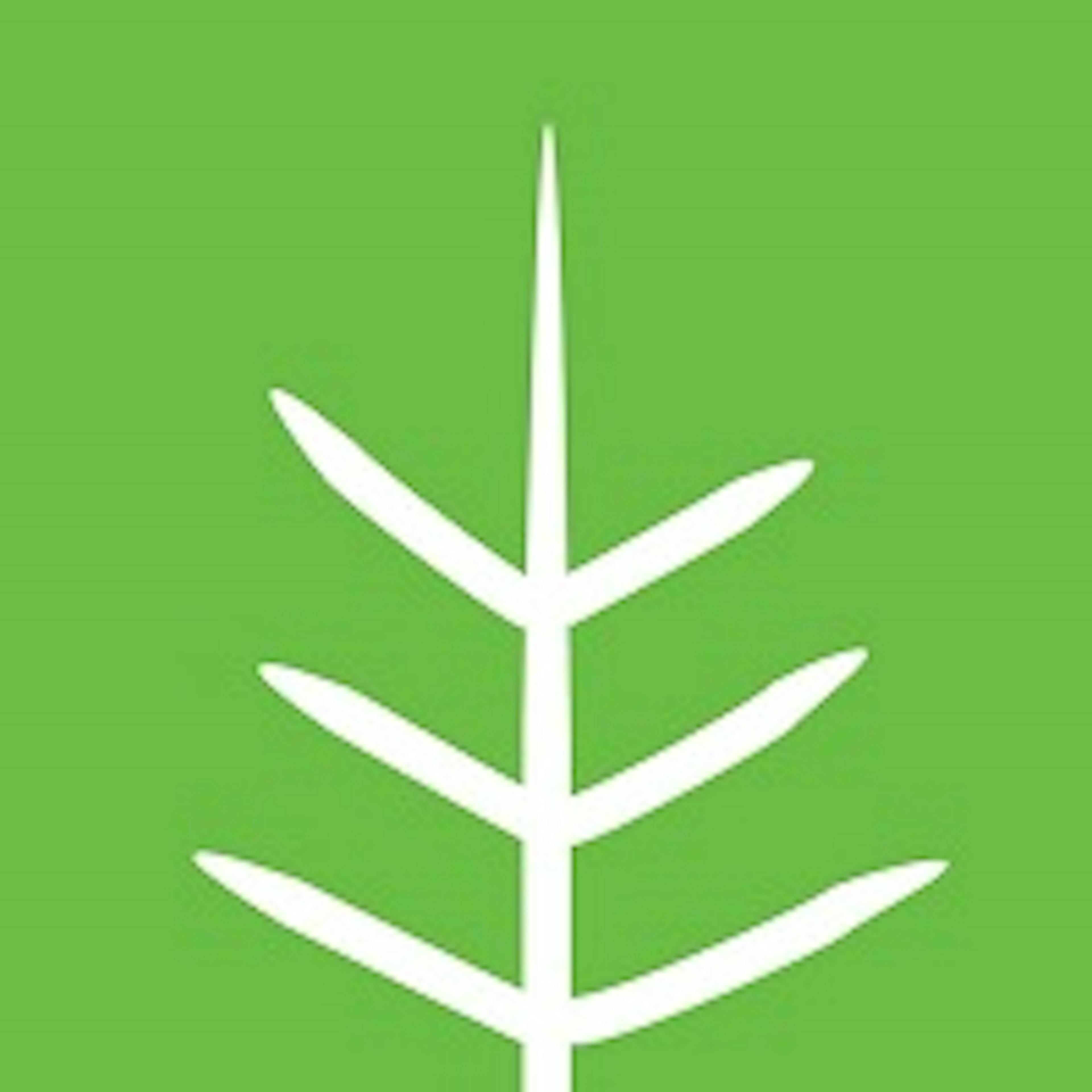 White branch against a green background
