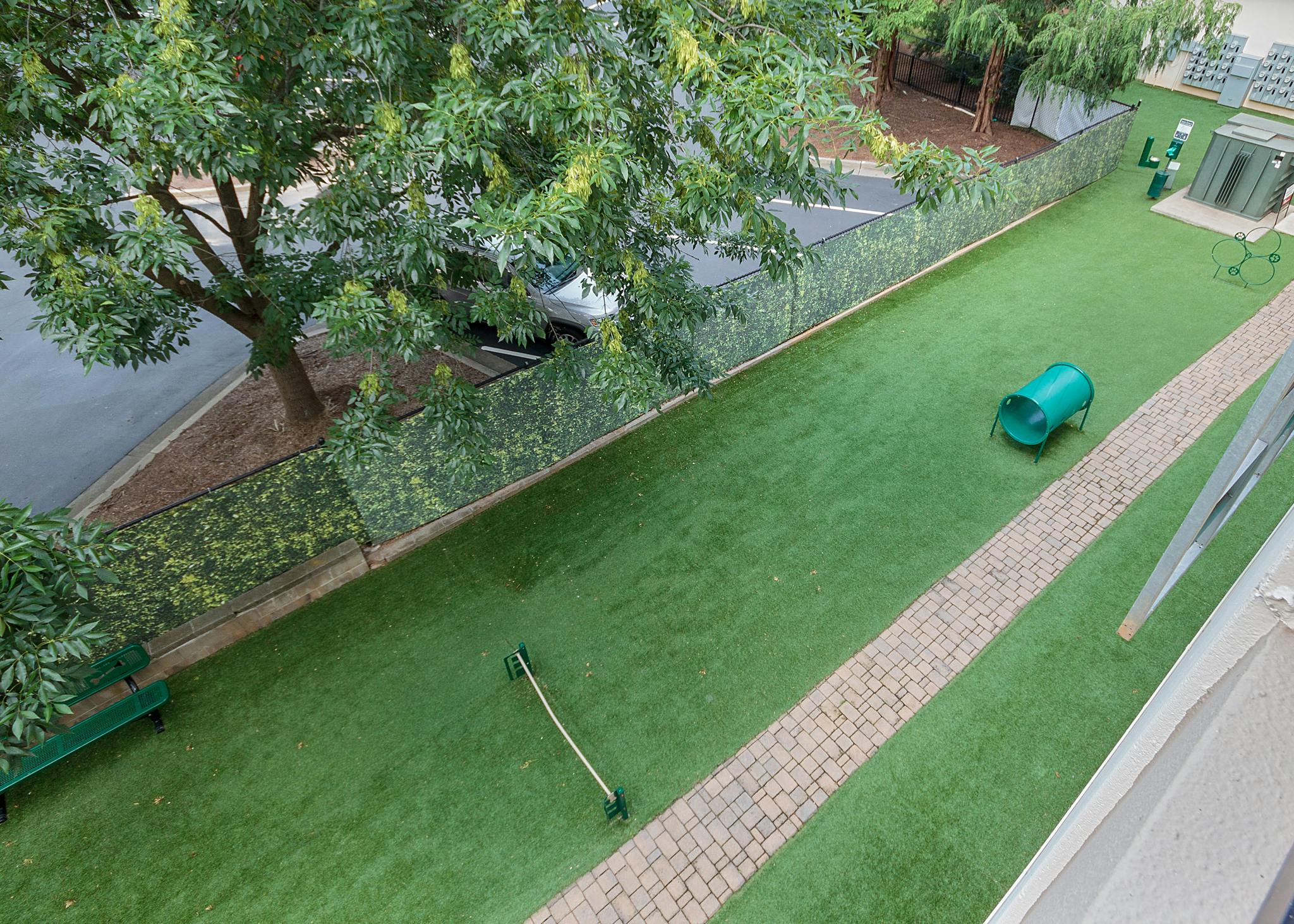 Overhead view of grassy outdoor paw park at AMLI Ponce Park apartments with small tunnels for dogs to jump through