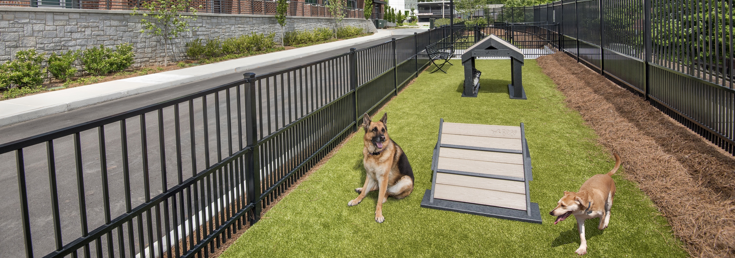 AMLI Decatur pet park with black fence surrounding open grassy space with two dogs and a few obstacle toys and a bench