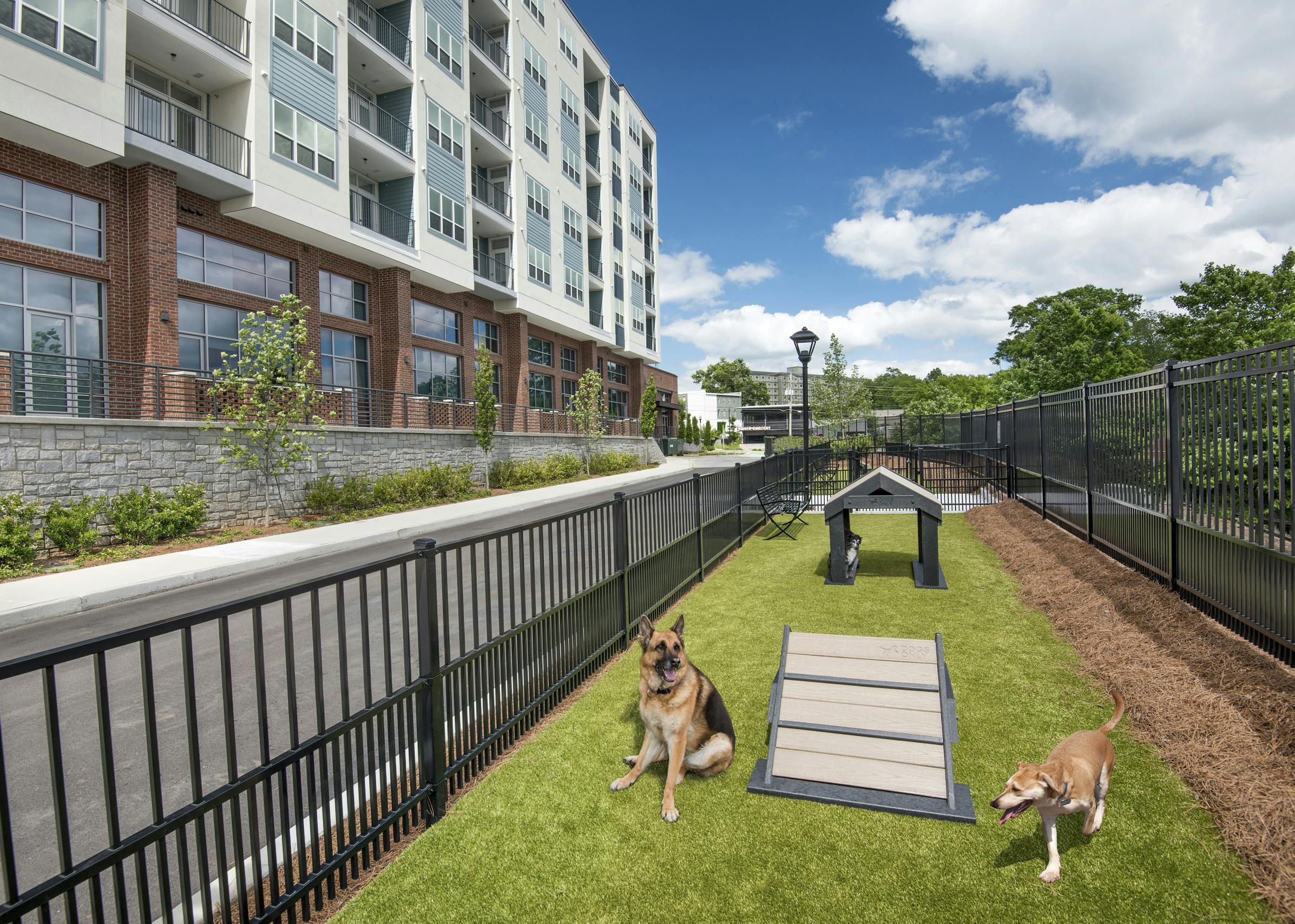 AMLI Decatur pet park with black fence surrounding open grassy space with two dogs and a few obstacle toys and a bench