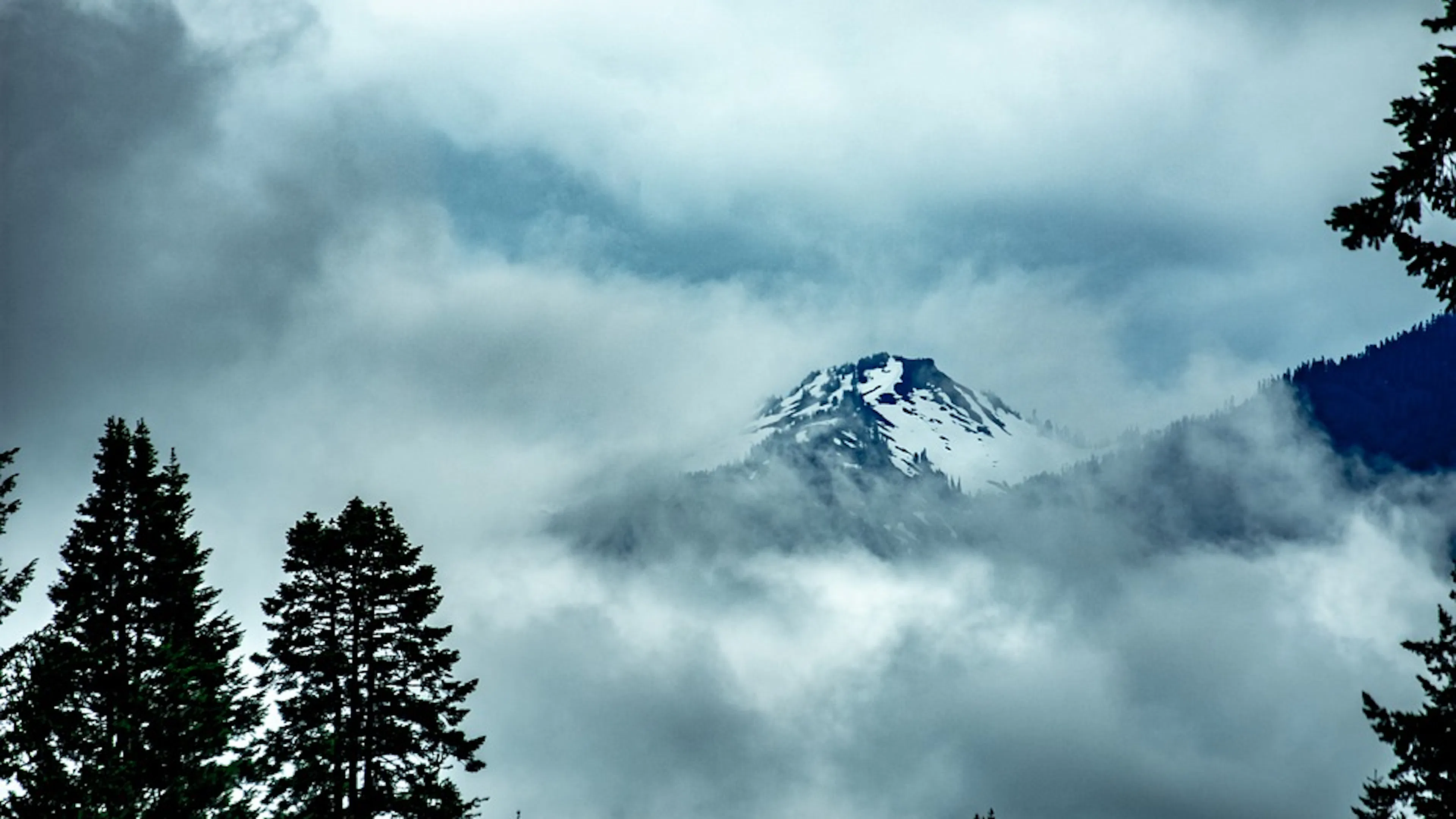 A snowy mountain peak just barely visible through thick dark clouds behind a forest shrouded in darkness