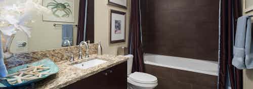 Interior view of AMLI Design District apartment bathroom with granite countertop and oval garden tub with tile surround