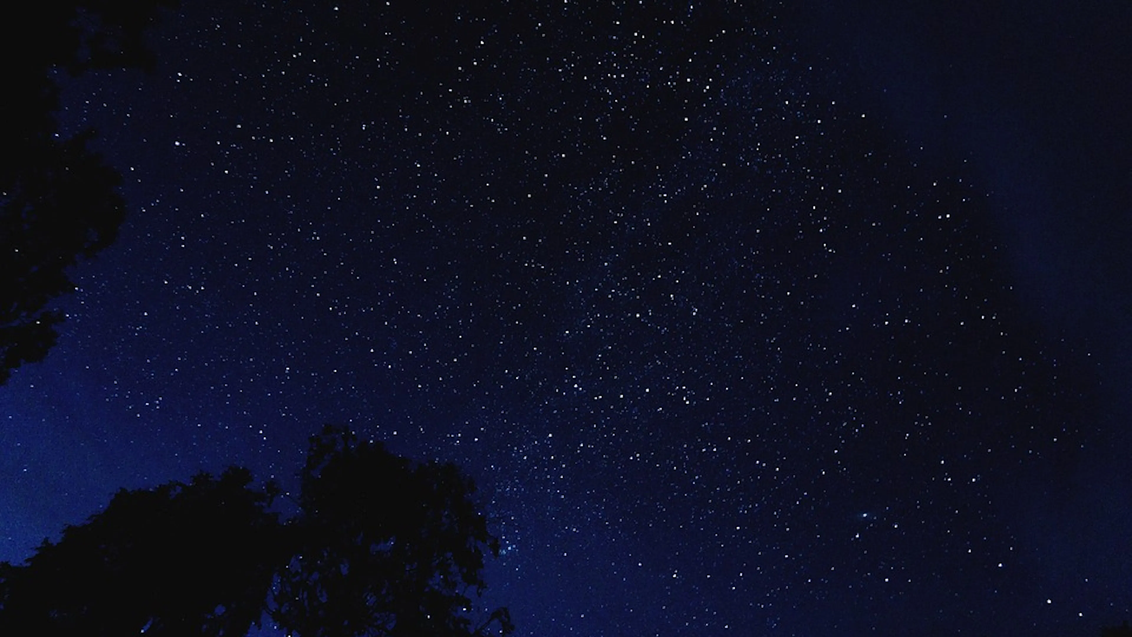 A picture of the night sky with thousands of stars twinkling in the deep blue sky 