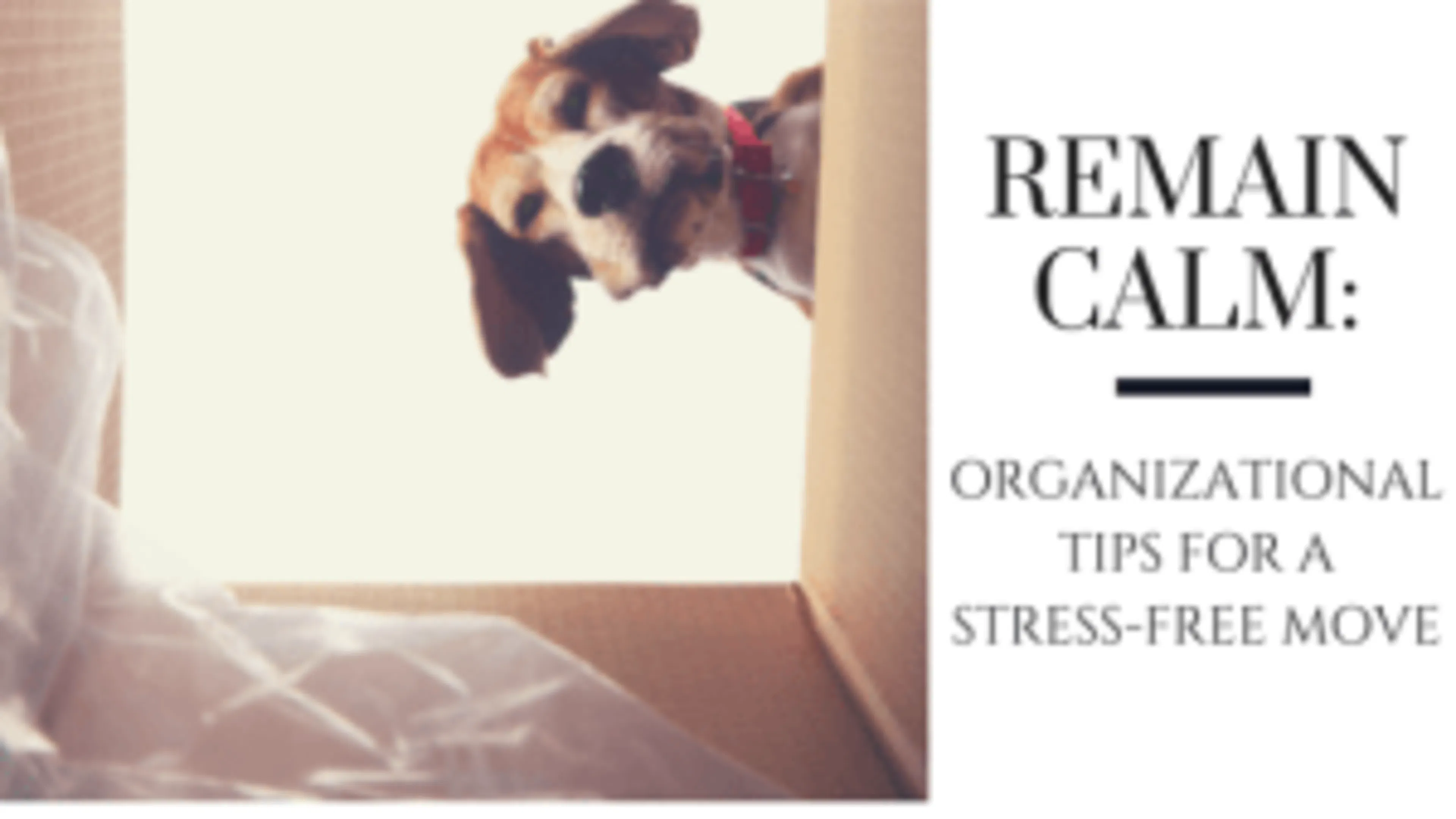 Remain Calm - Organizational Tips for a Stress-free Move