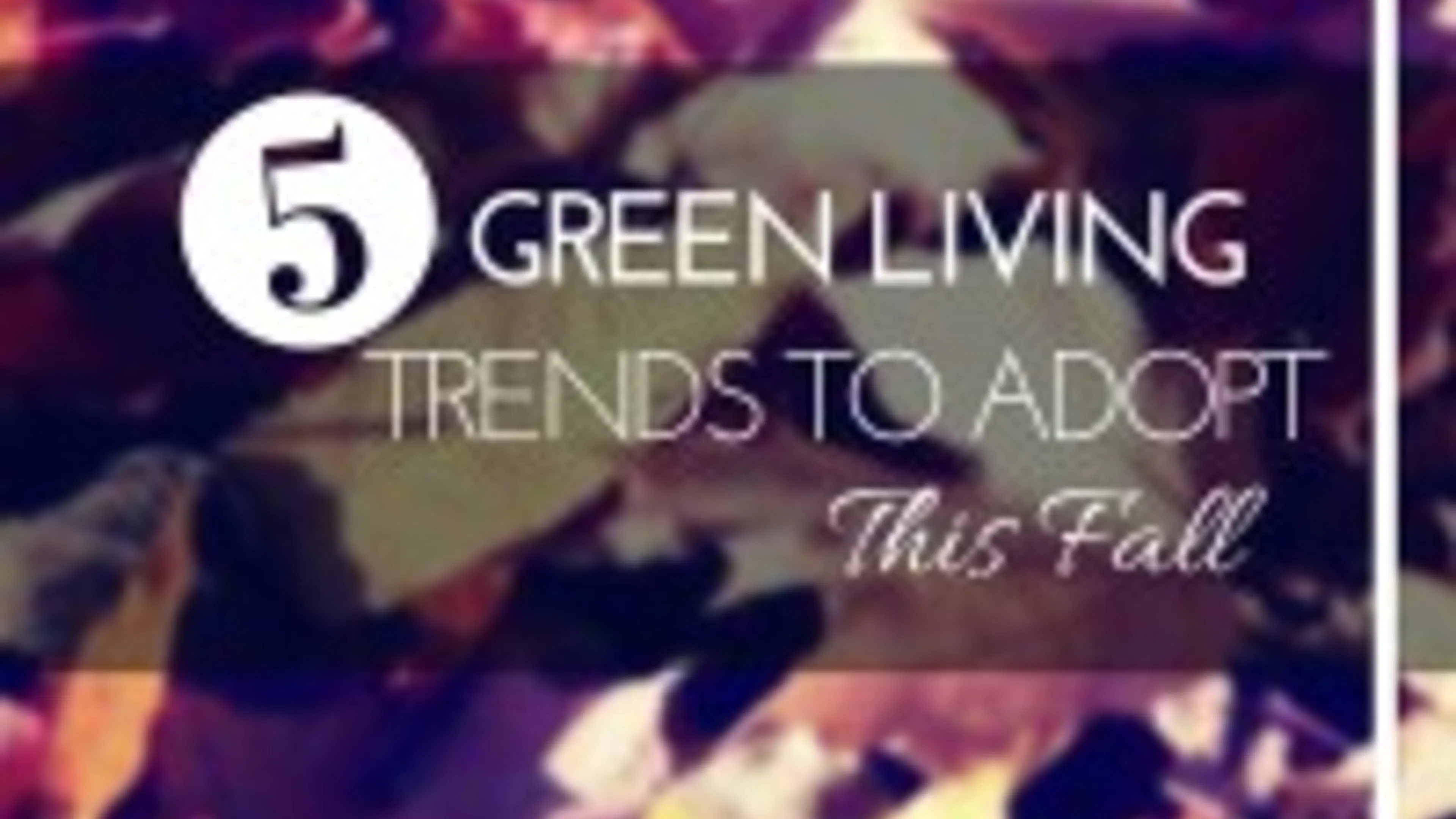 Five Green Living Trends to Adopt this Fall
