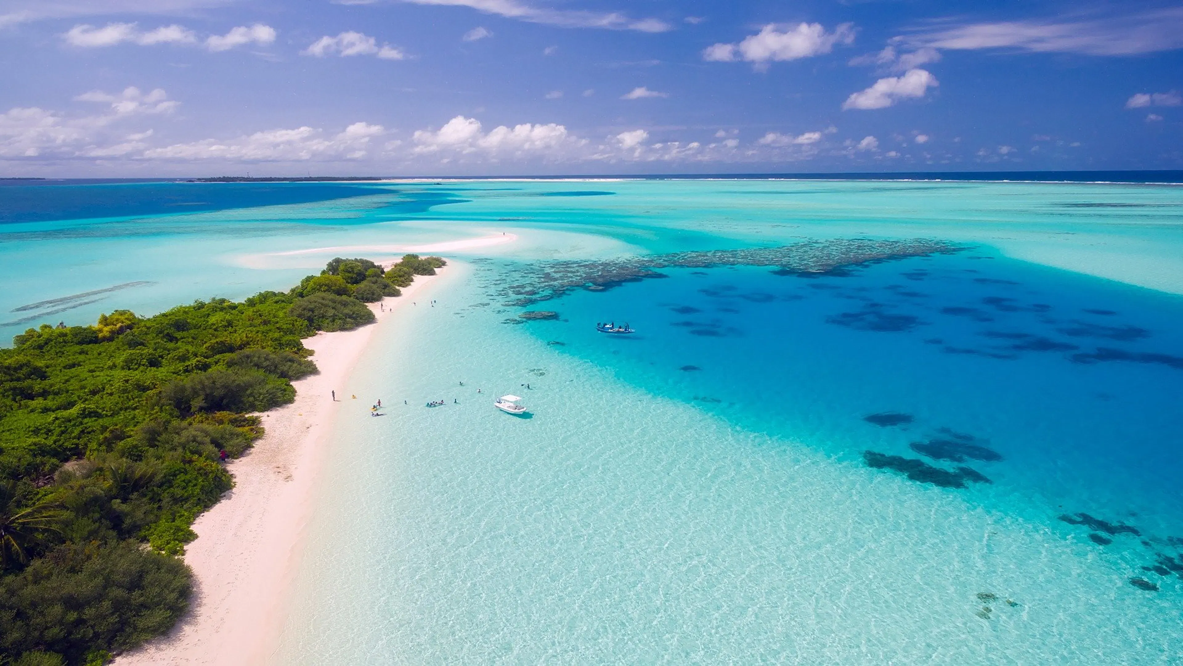 A strip of beach covered with palm trees extending into clear blue ocean waters