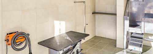 Daytime interior of paw wash station at AMLI Covered Bridge with tile surround and an orange dog hairdryer