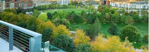Exterior view from rooftop deck at AMLI Riverfront Green apartments with a park with several green trees adjacent buildings