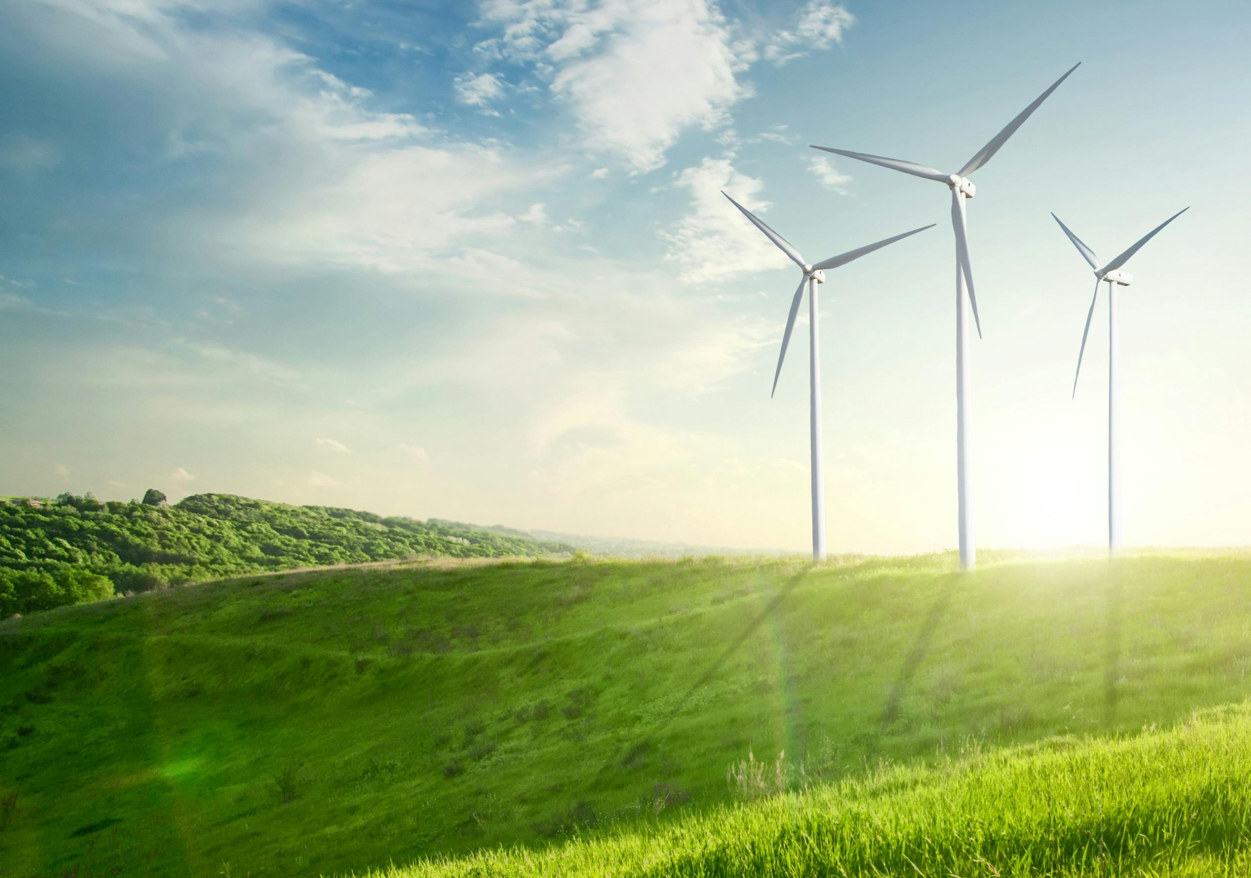 Eco-Friendly Apartments: How Sustainable Living Can Lead to Significant ... - Sustainable Energy Apartments