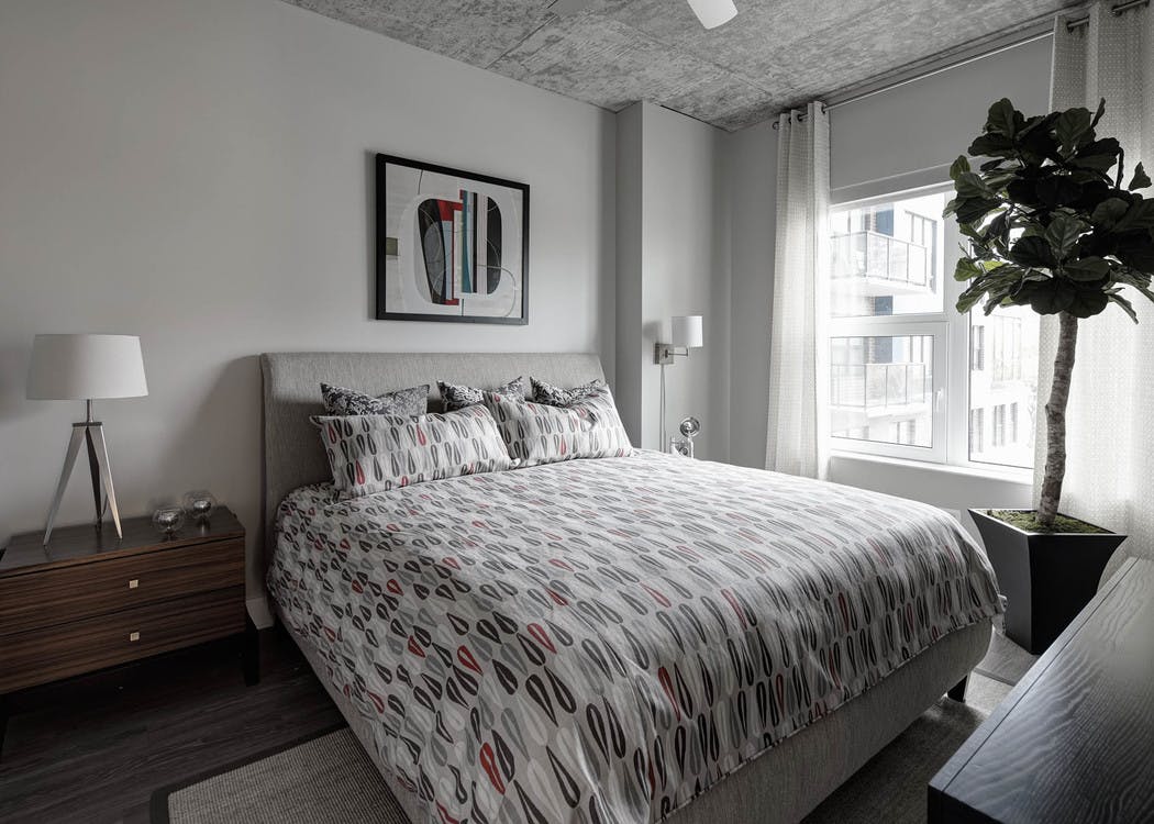A simplistic bedroom at AMLI Lofts decorated in earth tones with a large faux tree next to a window with a bright city view