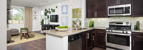 Interior of AMLI Spanish HIlls apartment kitchen with dark wood cabinets and stainless steel appliances and living room
