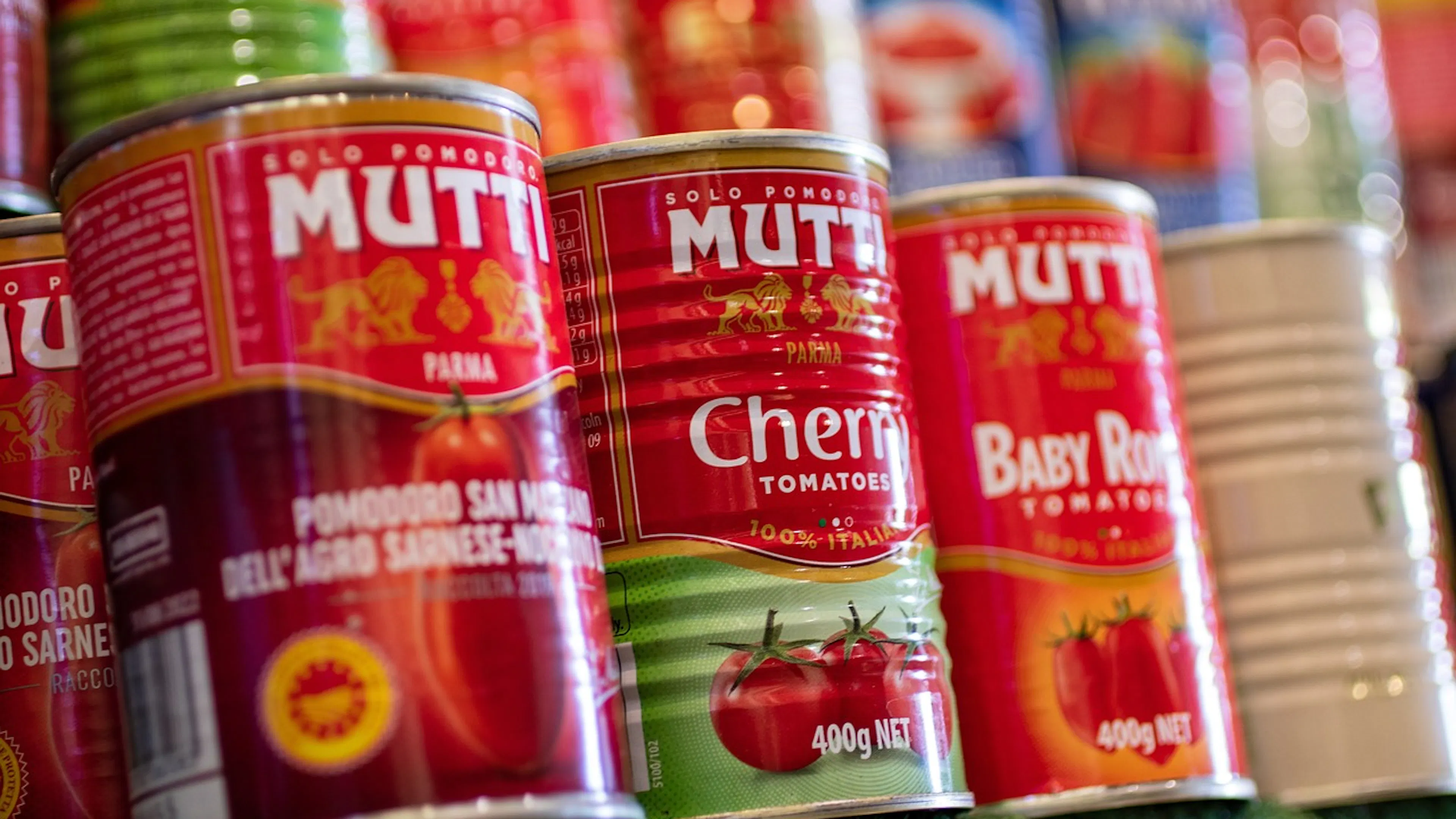A row of canned tomatoes beside each other on a grocery store shelf