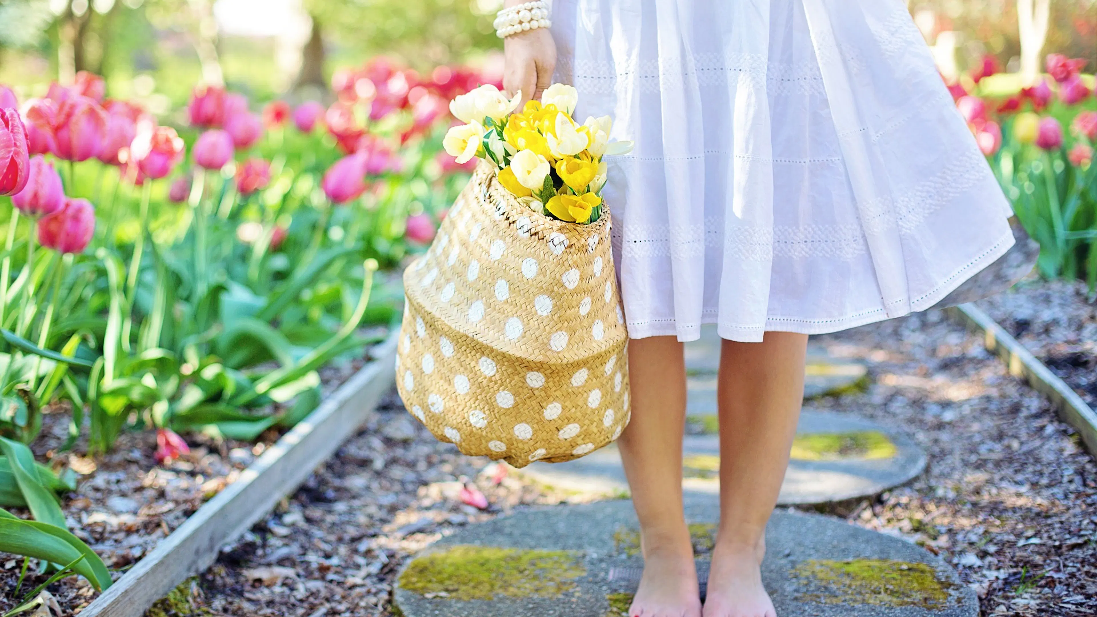 woman in white skirt and bare feet with basket of yellow flowers on path with red tulips