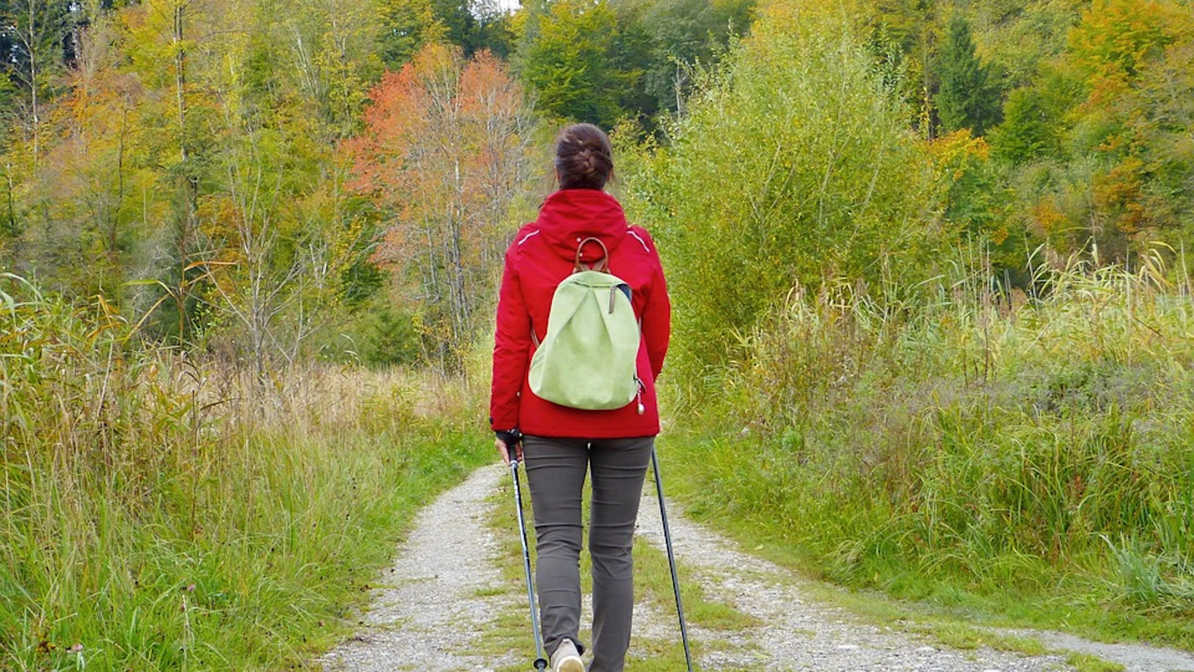 A woman wearing a red jacket and a yellow backpack walking toward a dense deciduous forest on a cloudy day