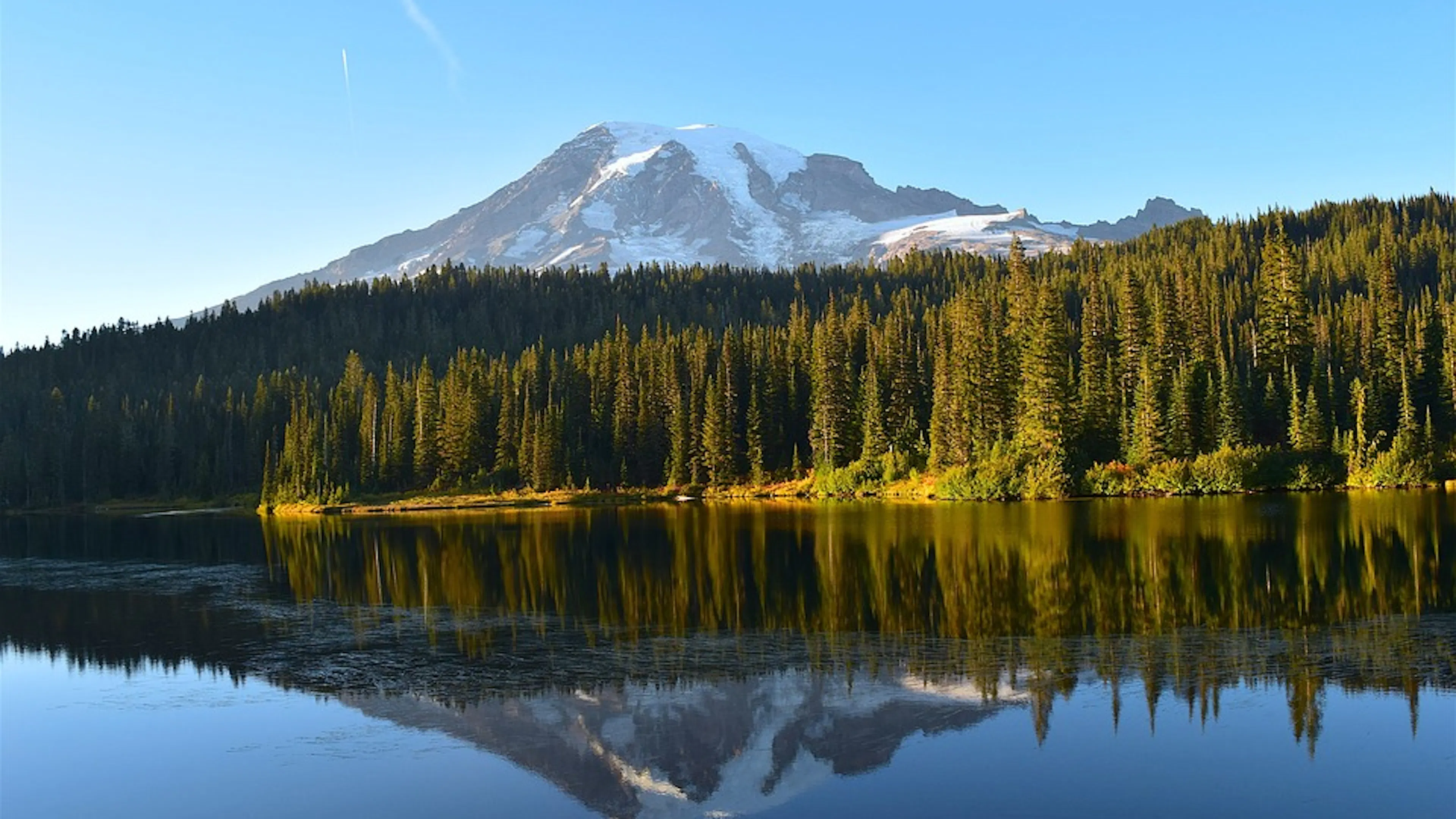 Mount Rainier reflected onto a still lake with trees lining the shore