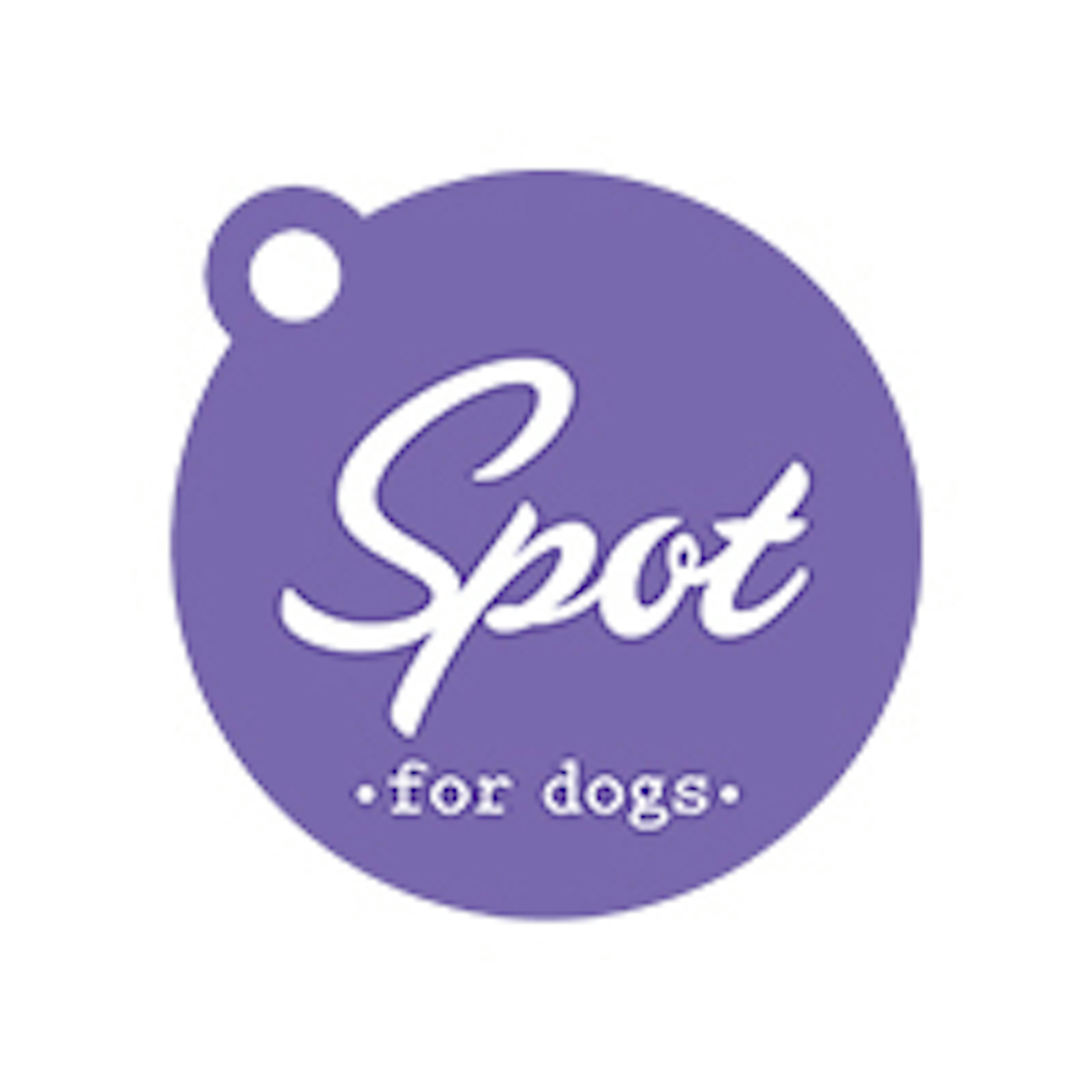 Spot Doggy Day Care