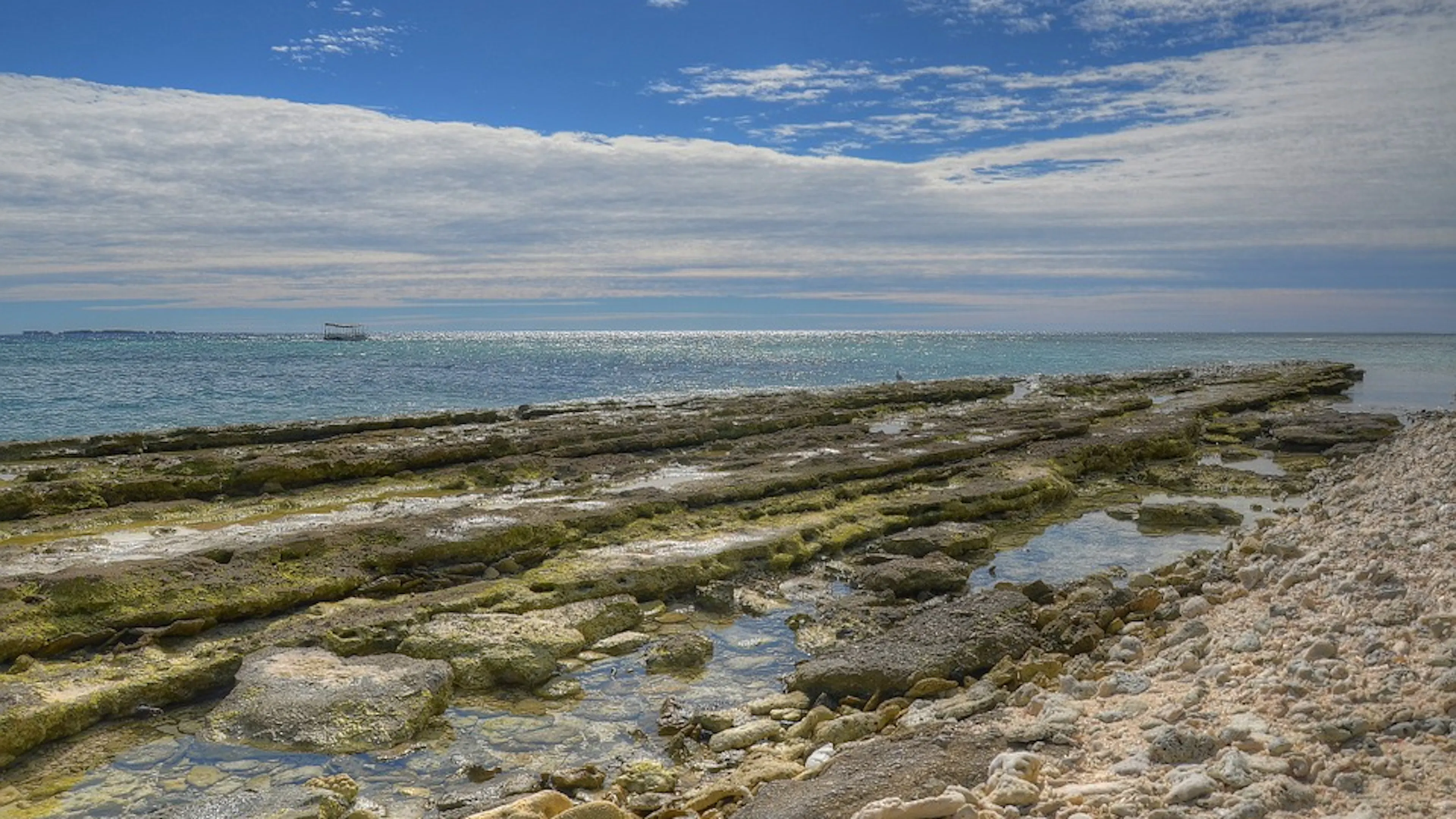 View of a calm blue ocean from a rocky shoreline covered in seaweed and ocean moss