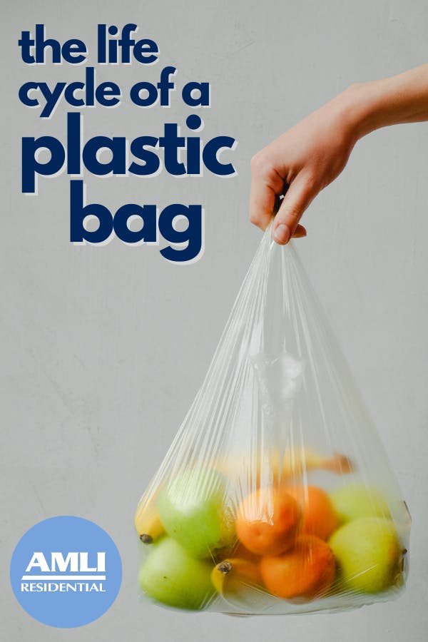 Who needs single-use fish bags and throw-away carrier bags for
