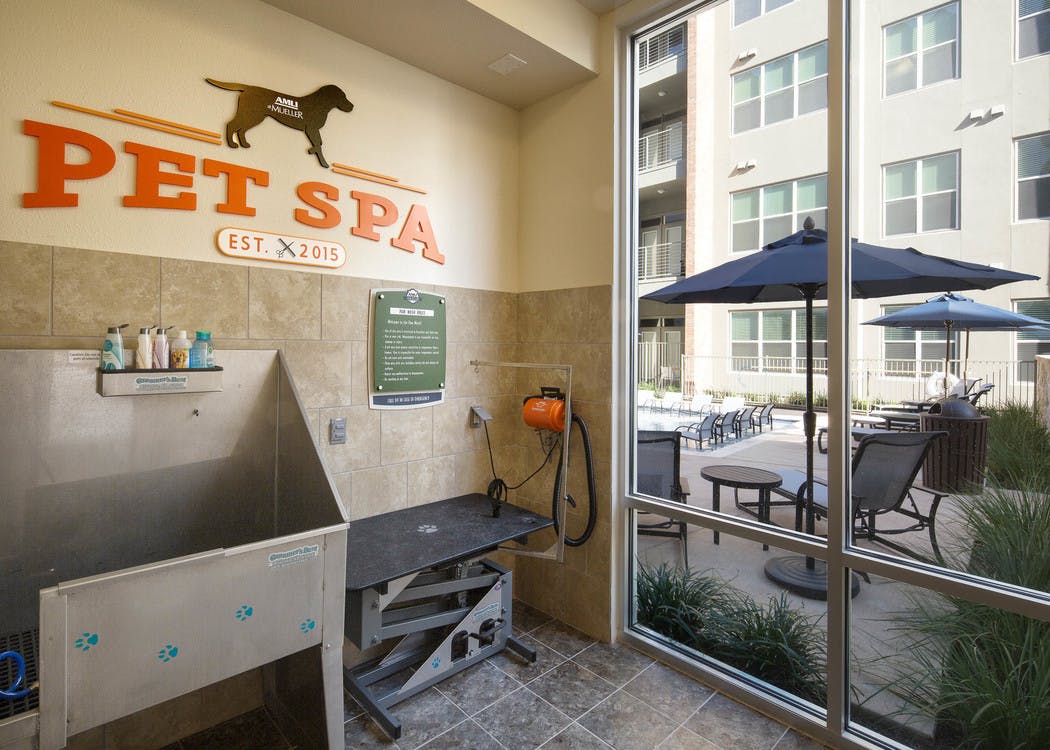 Interior of paw wash at AMLI at Mueller with dog washing and drying stations and a wall stencil reading Pet Spa on the wall