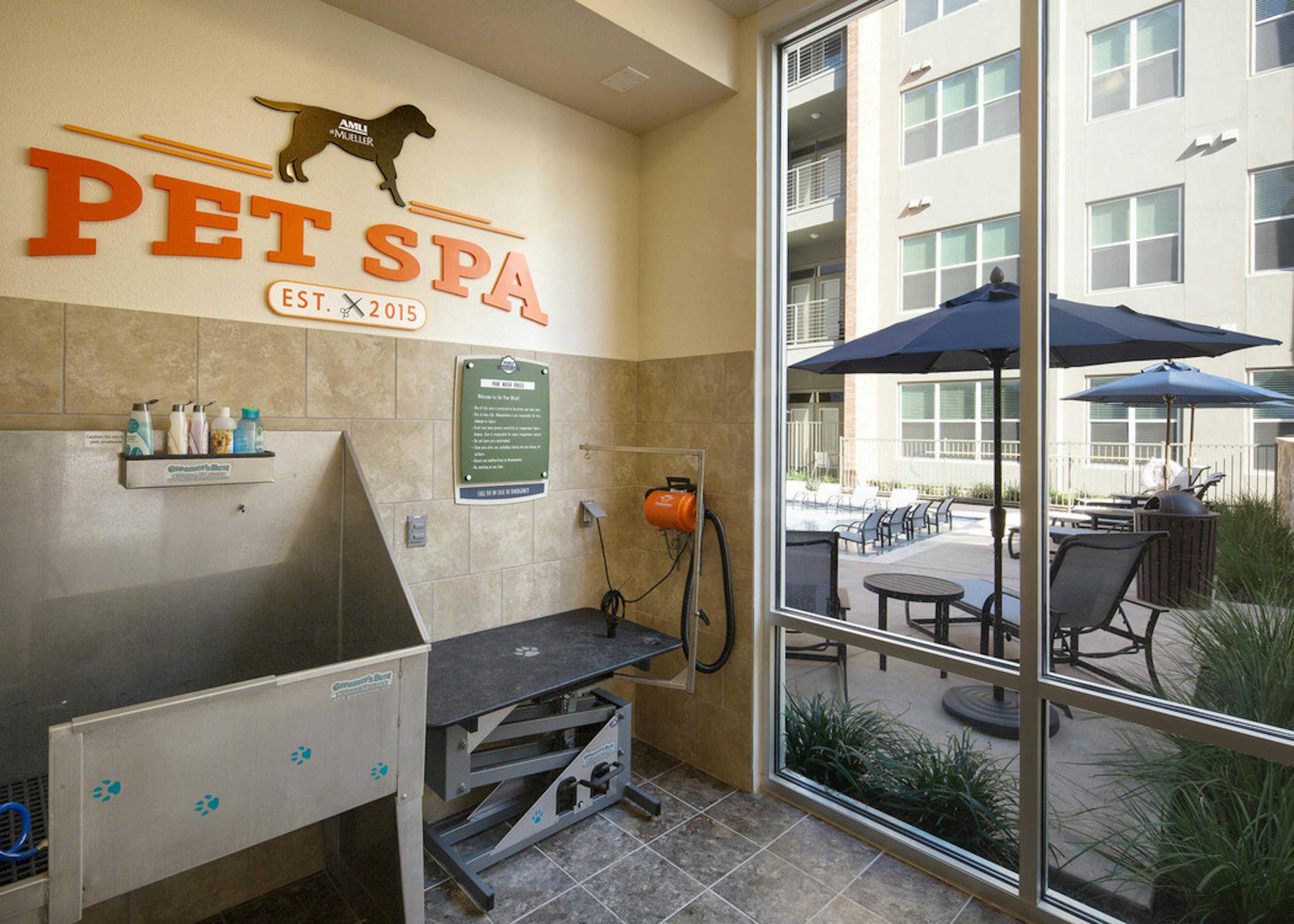 Interior of paw wash at AMLI at Mueller with dog washing and drying stations and a wall stencil reading Pet Spa on the wall