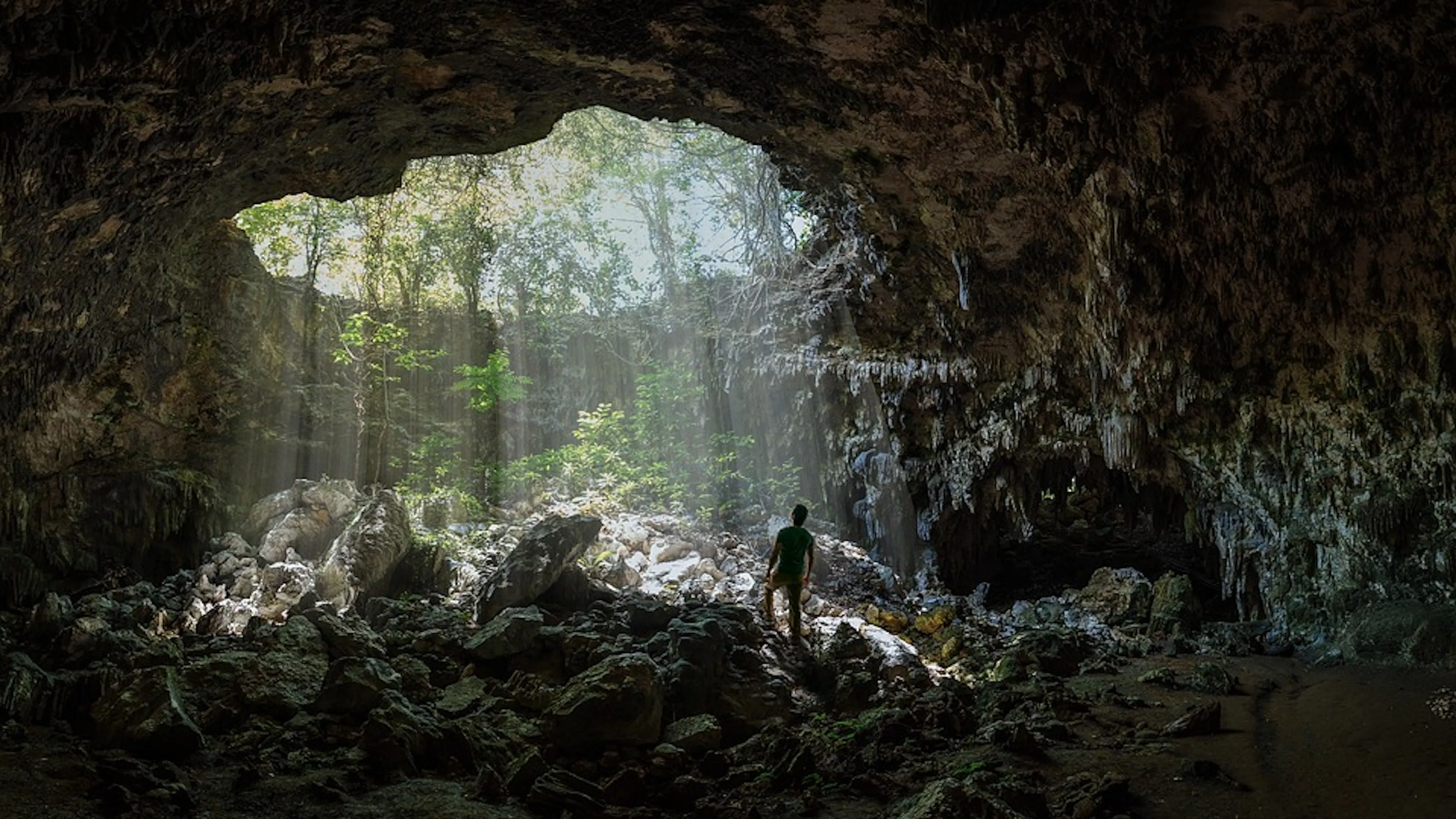 A person in a cave created by a collapsed sinkhole with sunlight filtering into the cave from above