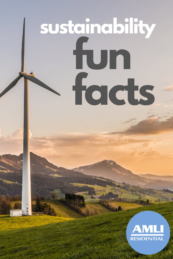 Sustainability Fun Facts