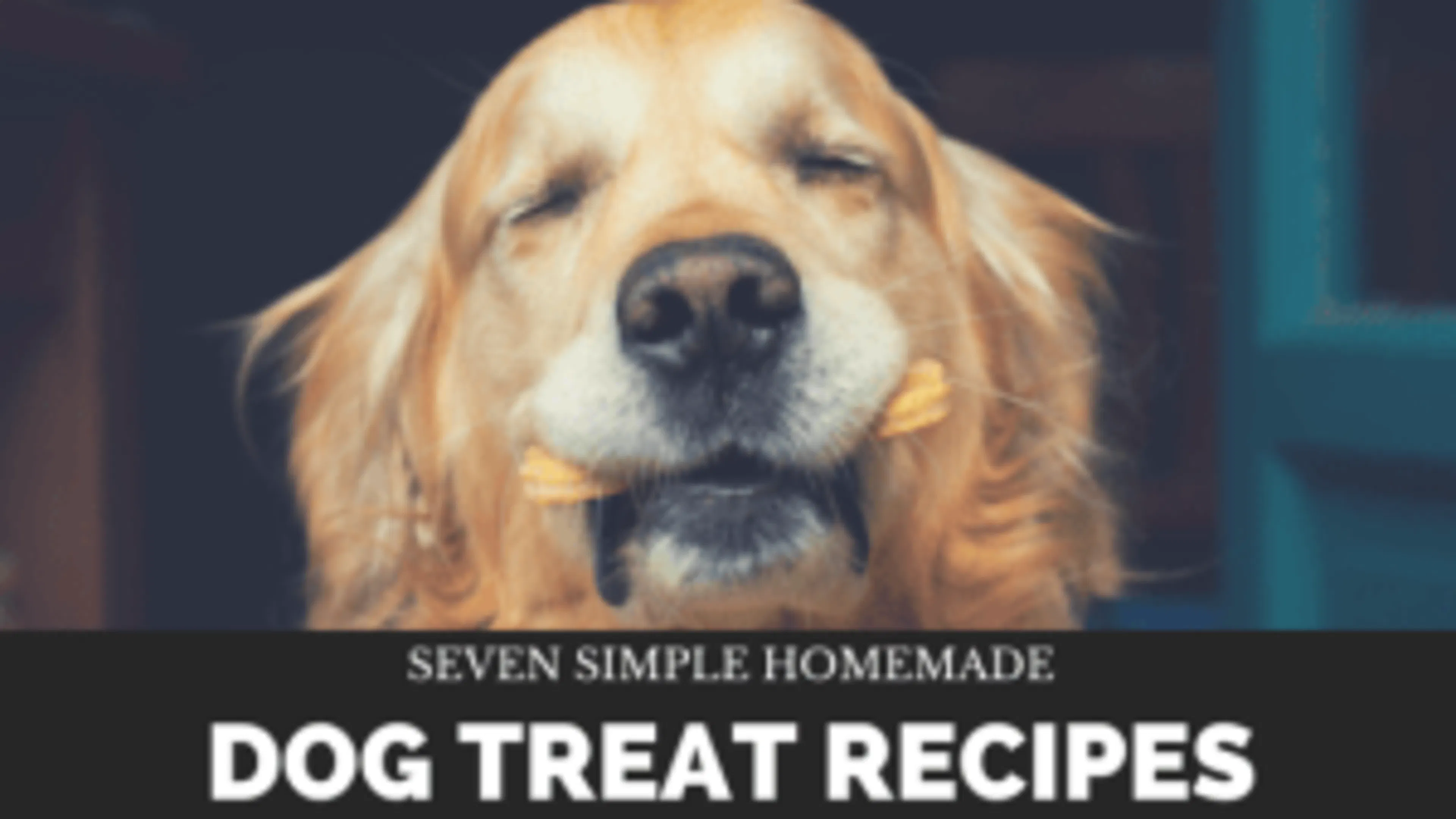 Seven Simple Homemade Dog Treat Recipes
