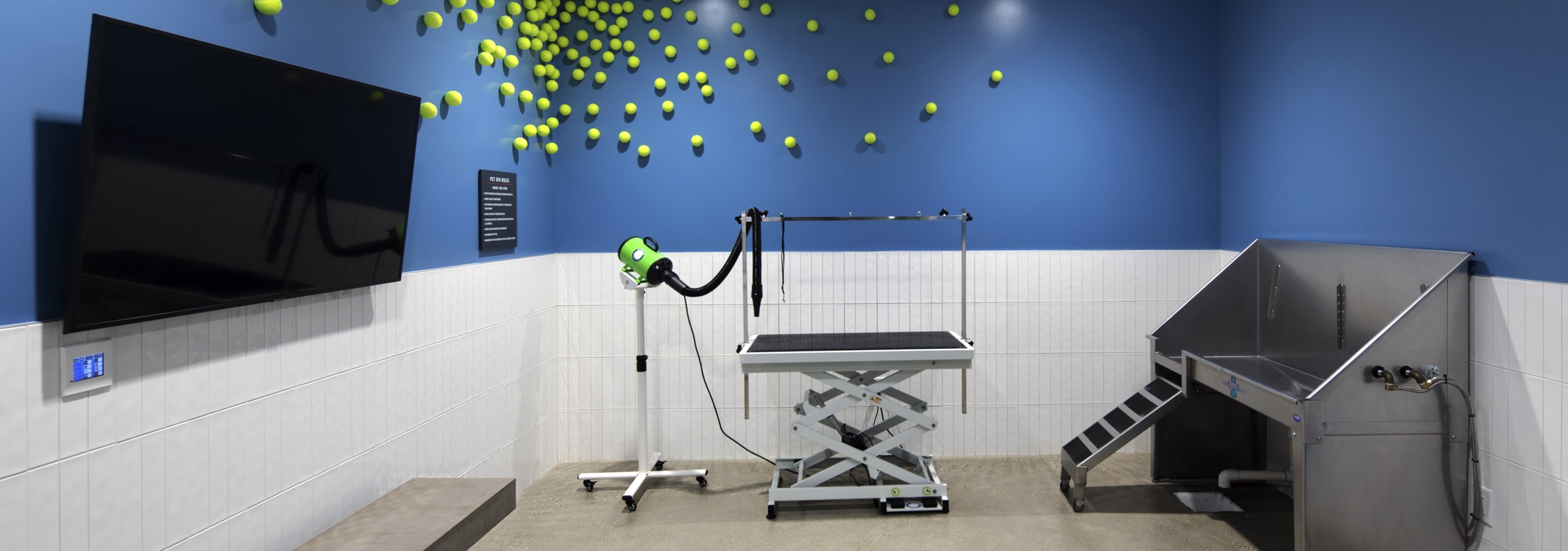 Pet spa at AMLI Park Broadway with unique tennis ball wall design on blue wall and grooming and washing stations