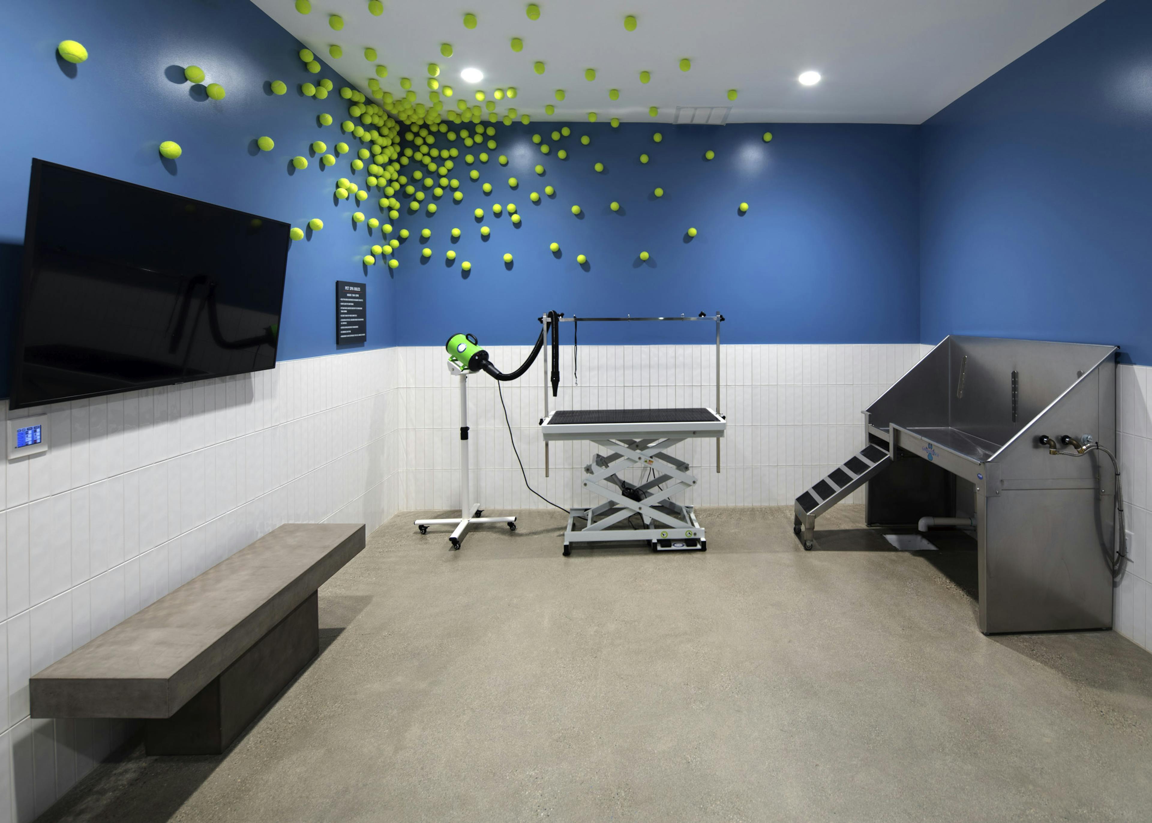 Pet spa at AMLI Park Broadway with unique tennis ball wall design on blue wall and grooming and washing stations 