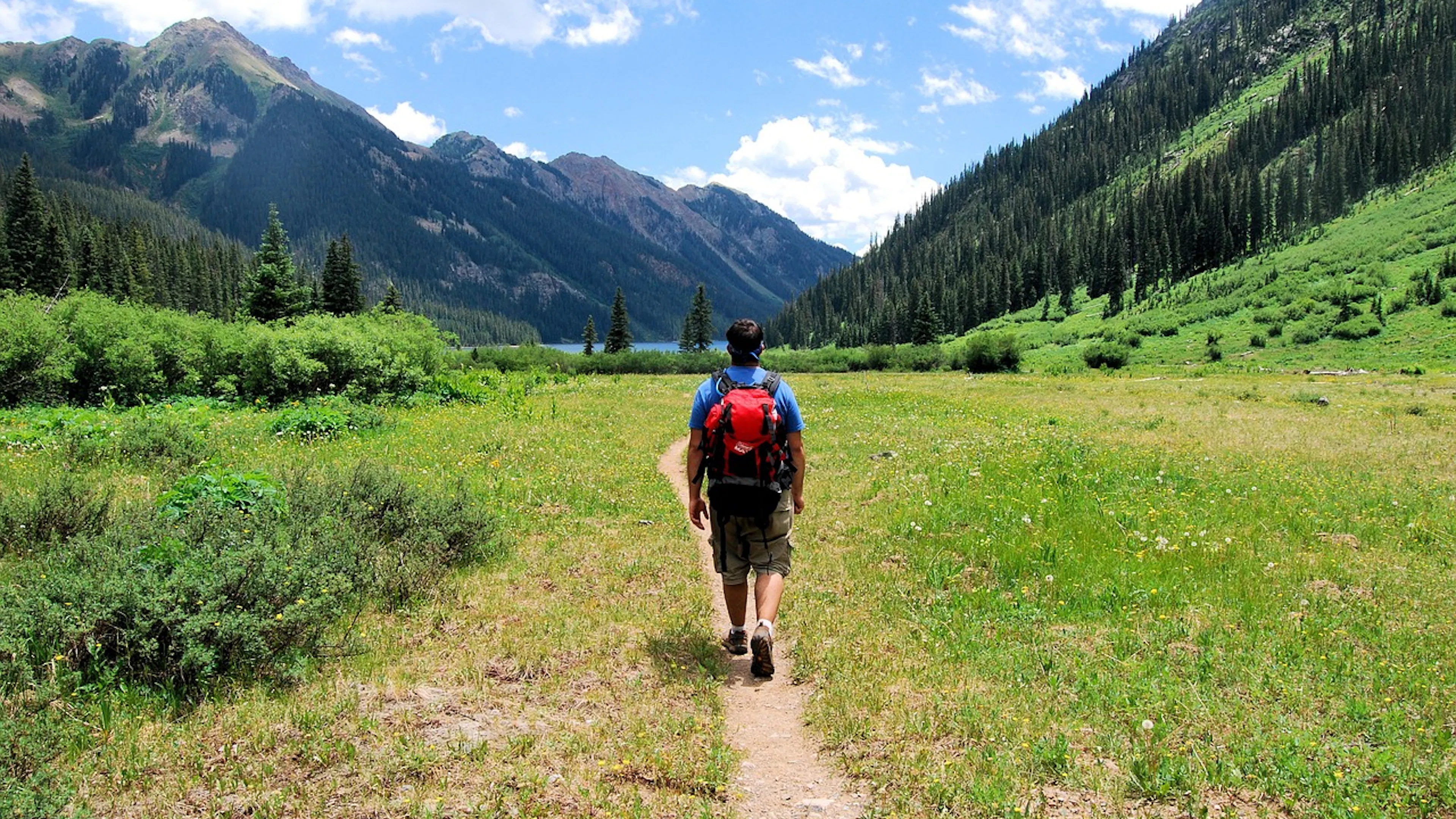 A man walking away from the camera through a grassy meadow in a mountain valley on a sunny day