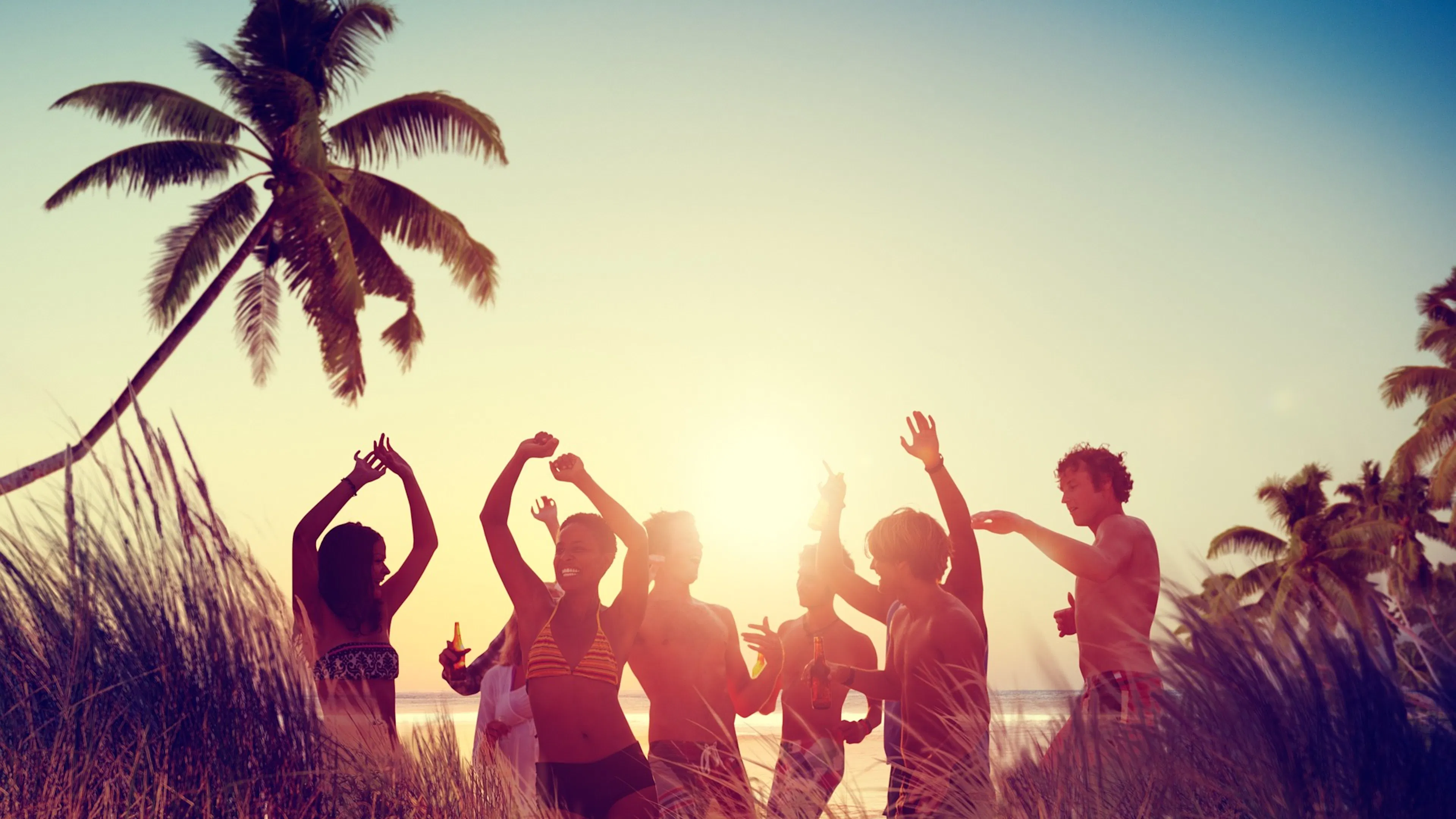 people dancing on beach with palm tree and sunset