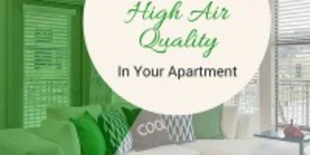 Image showcasing Tips for Maintaining High Air Quality in Your Apartment