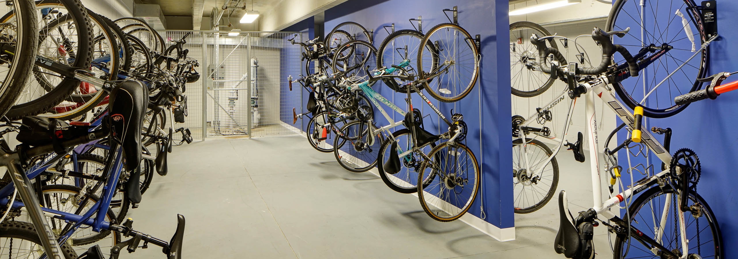 Interior view of bike storage room at AMLI Deerfield apartment community with blue walls and several vertical bike racks