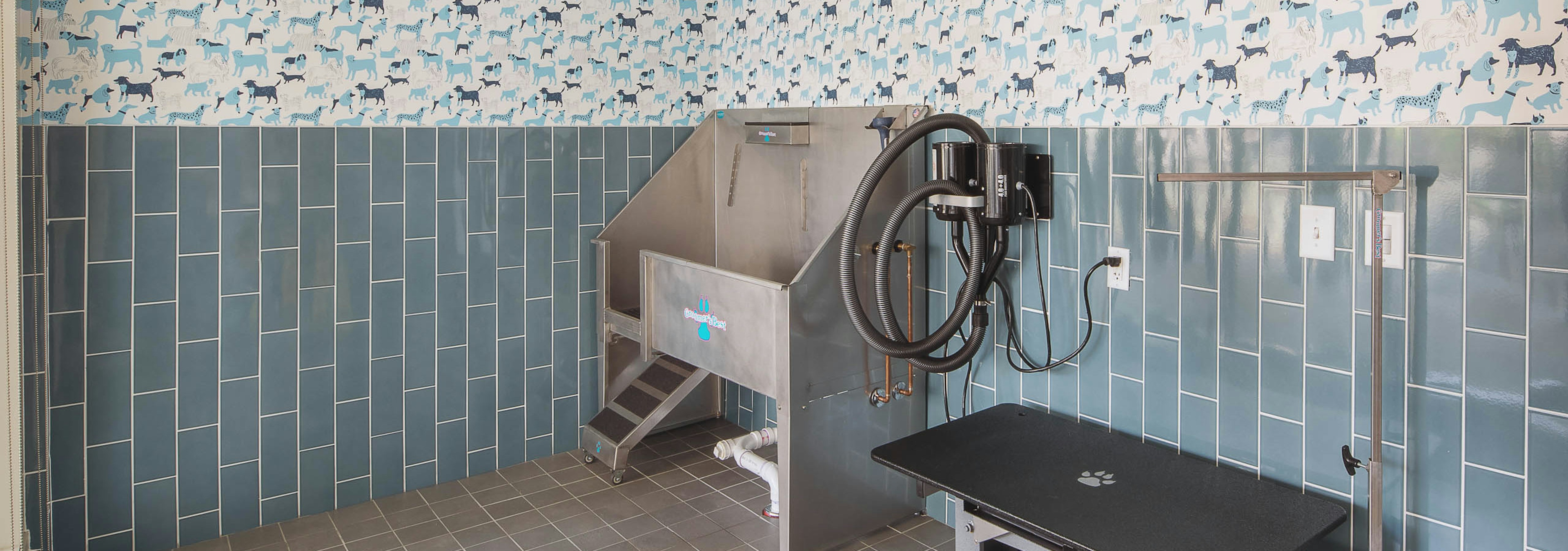 Paw wash at AMLI Arts Center with blue tile on the lower portion of the walls and a deep stainless steel sink with pet table