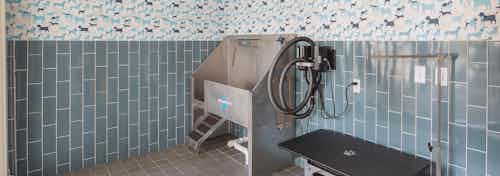 Paw wash at AMLI Arts Center with blue tile on the lower portion of the walls and a deep stainless steel sink with pet table
