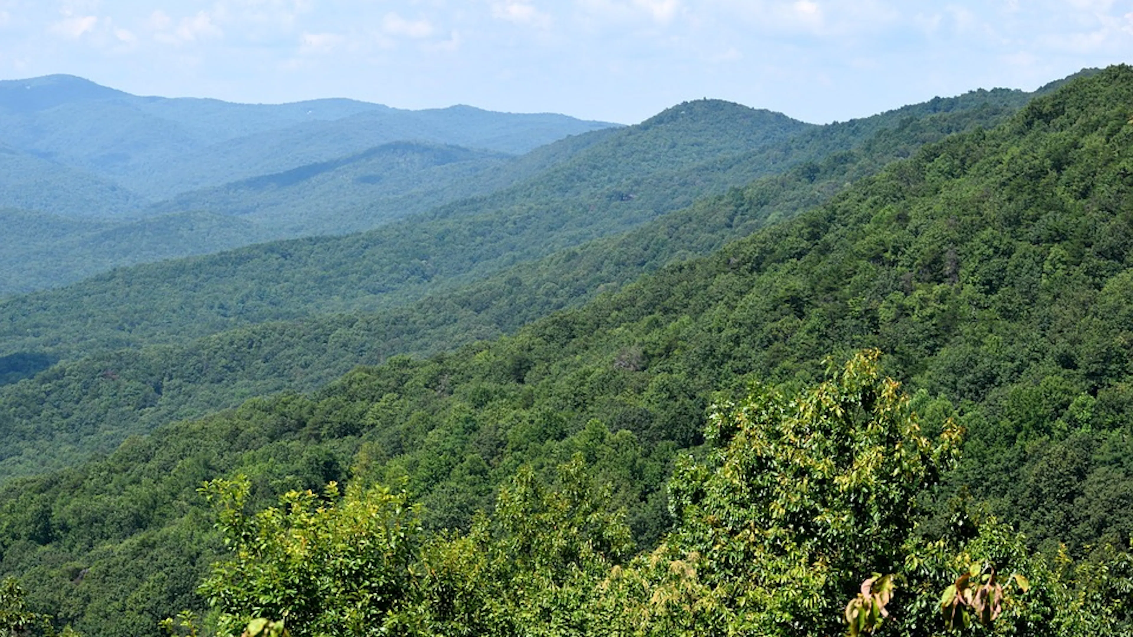 A sweeping view of gently sloping mountains covered in green trees and fading to hazy blue in the distance