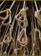 Pourquoi il faut abolir la peine de mort
